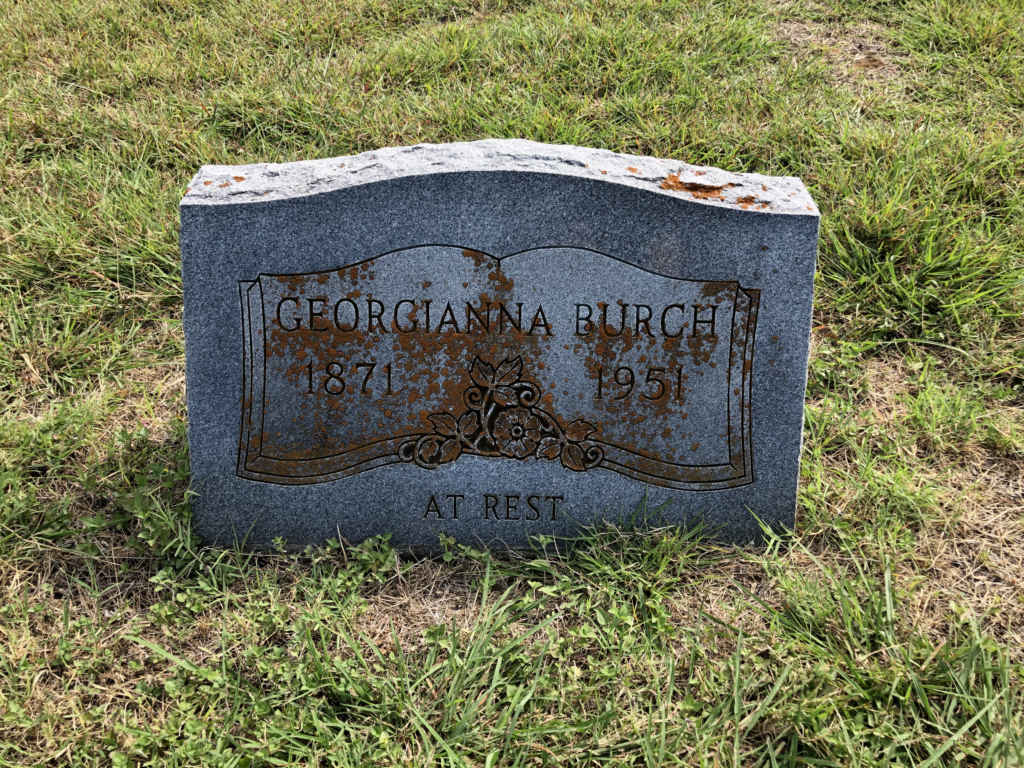 Photographed 01 July 2020.