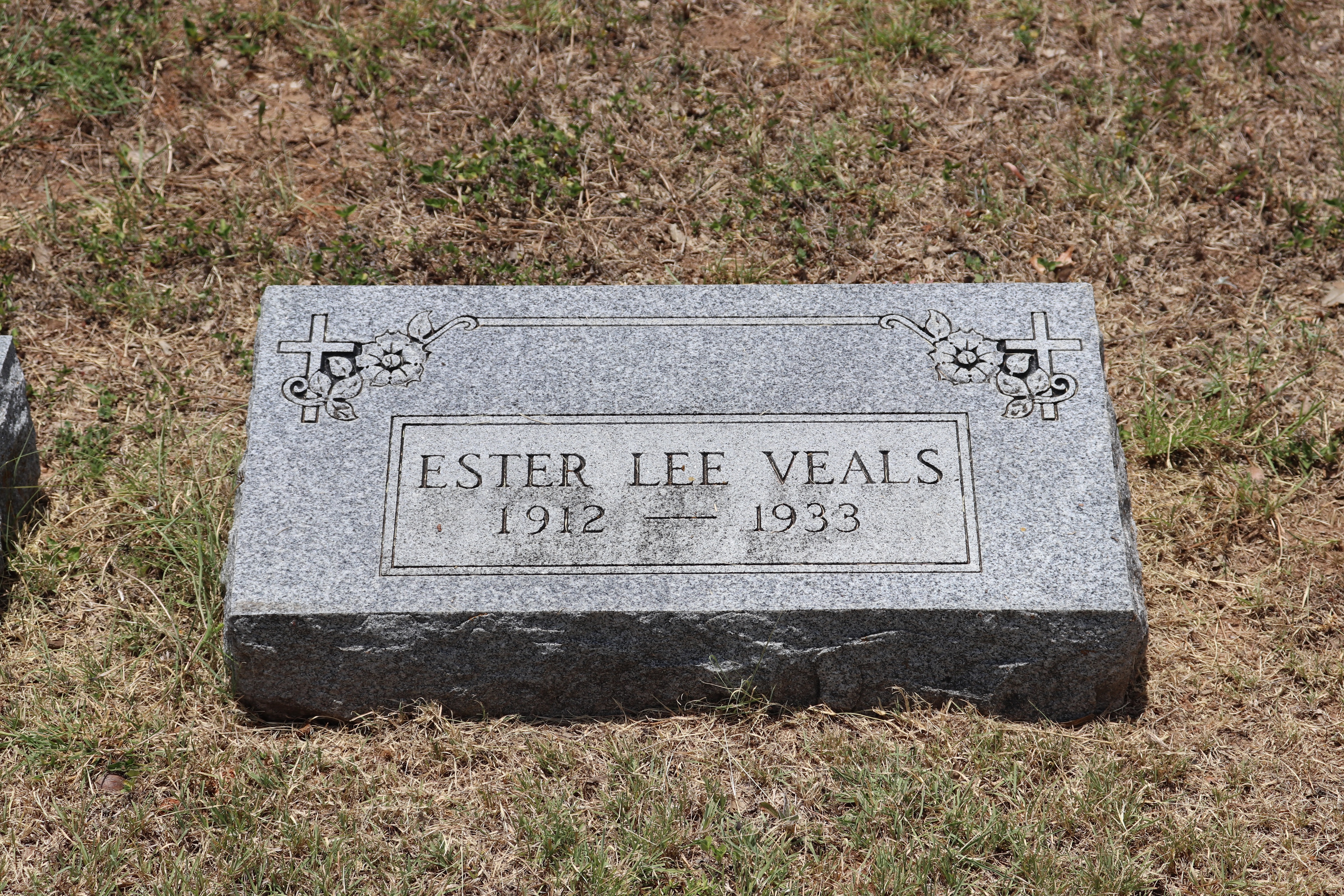 Photographed 19 June 2020.