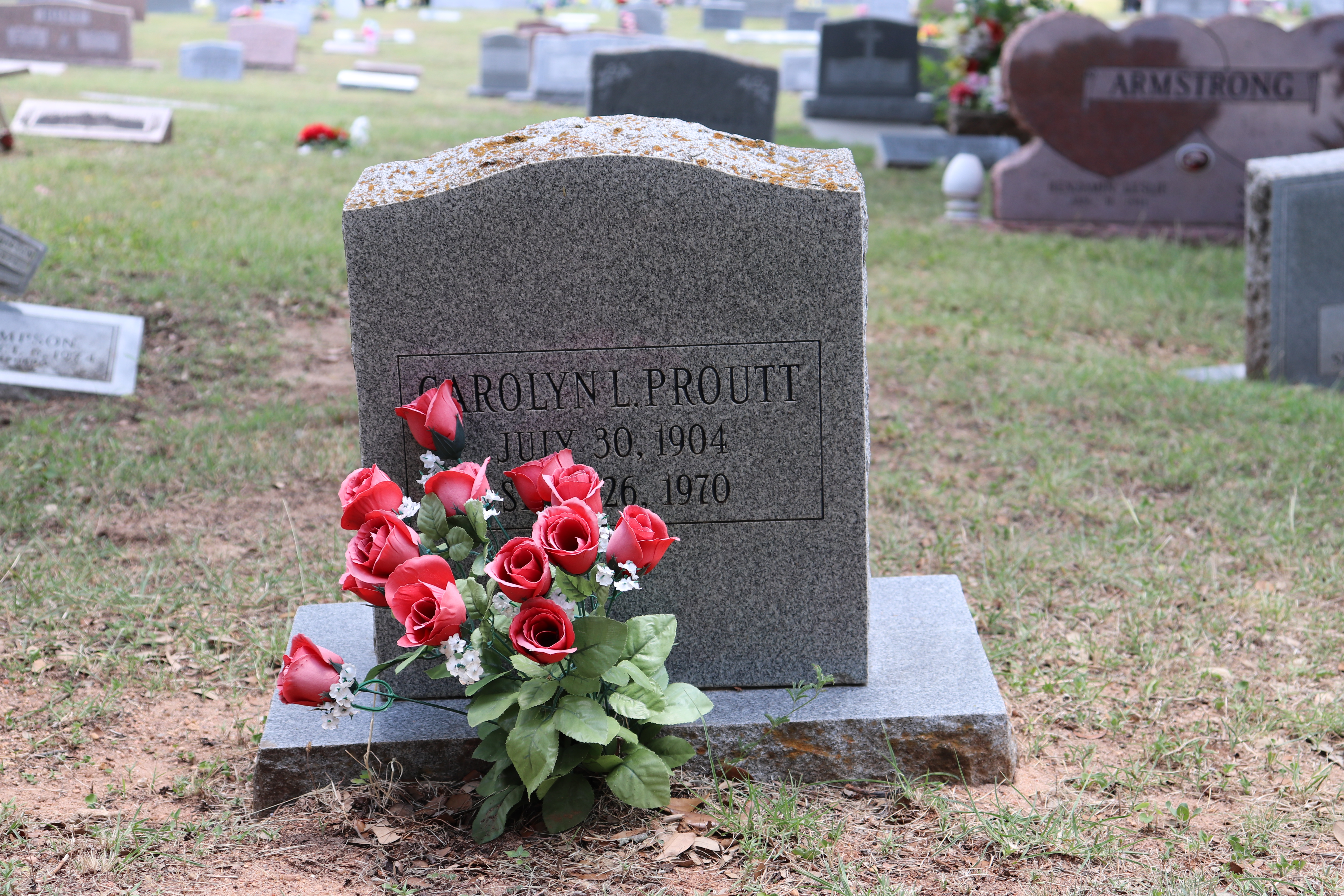 Photographed 19 June 2020.