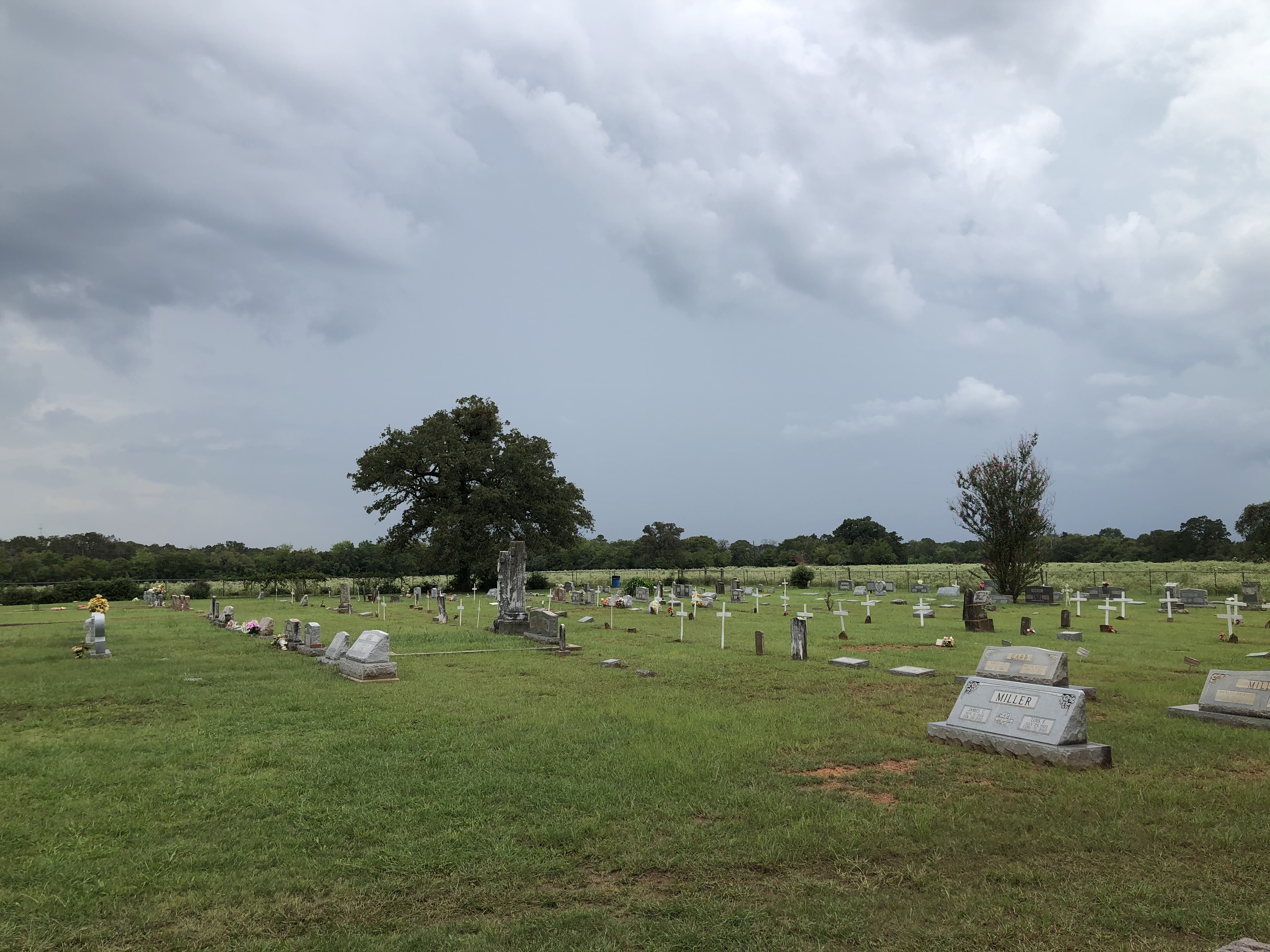 Photographed 09 September 2020.