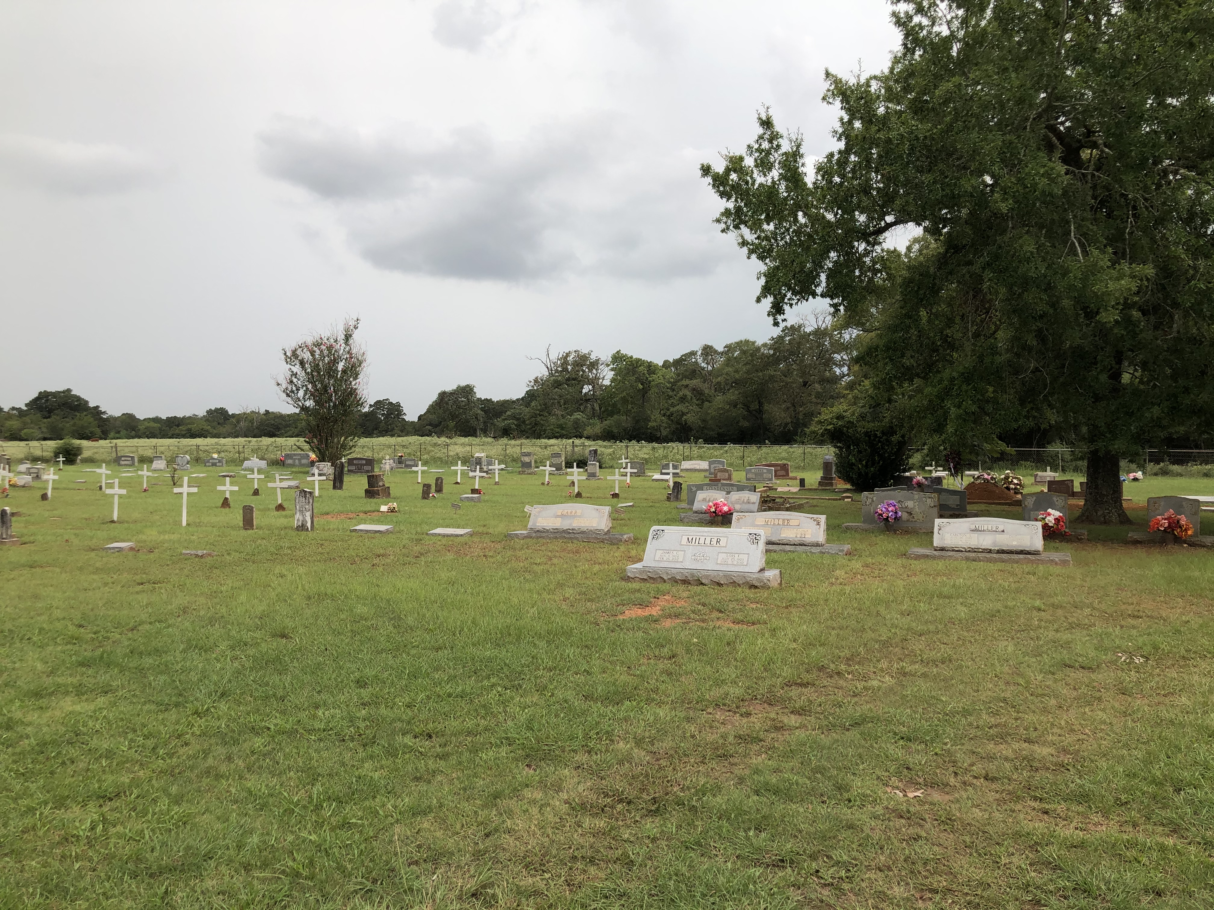 Photographed 09 September 2020.