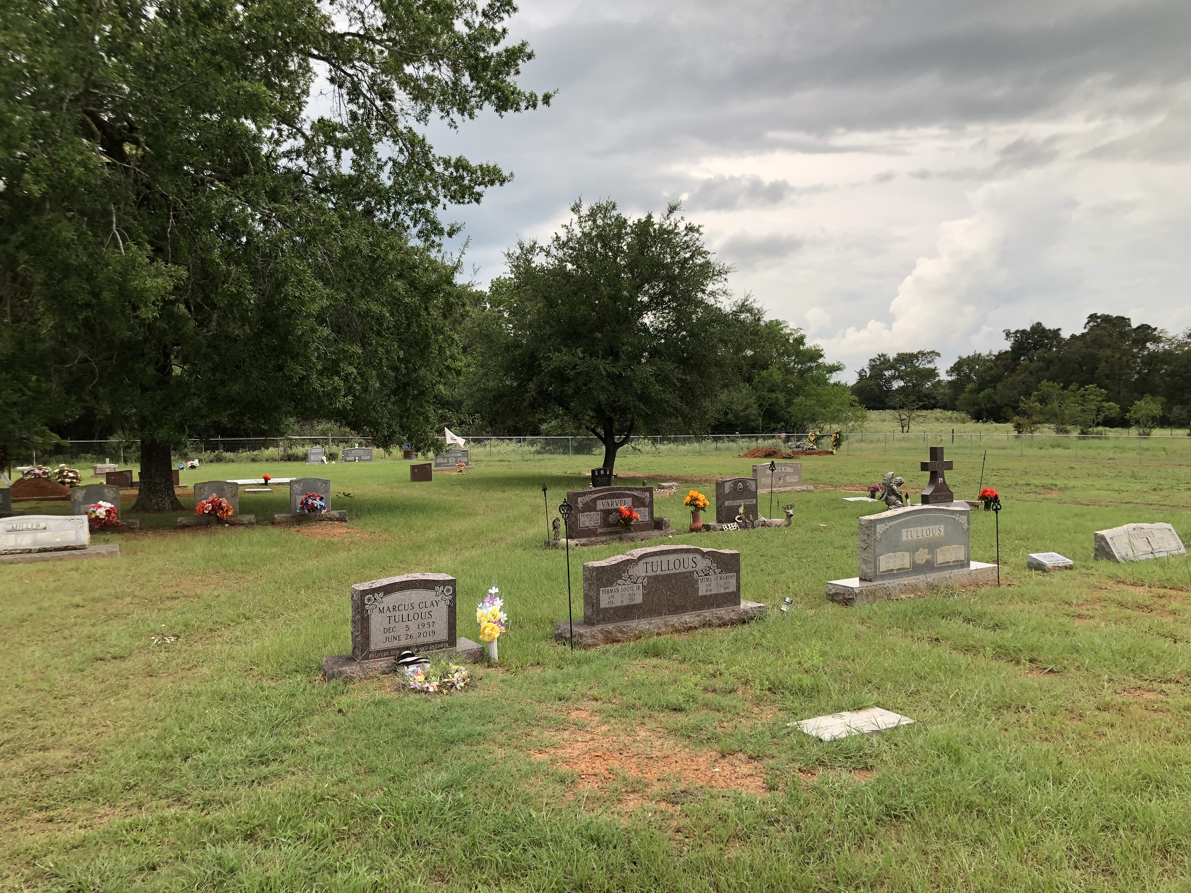 Photographed 09 September 2020.