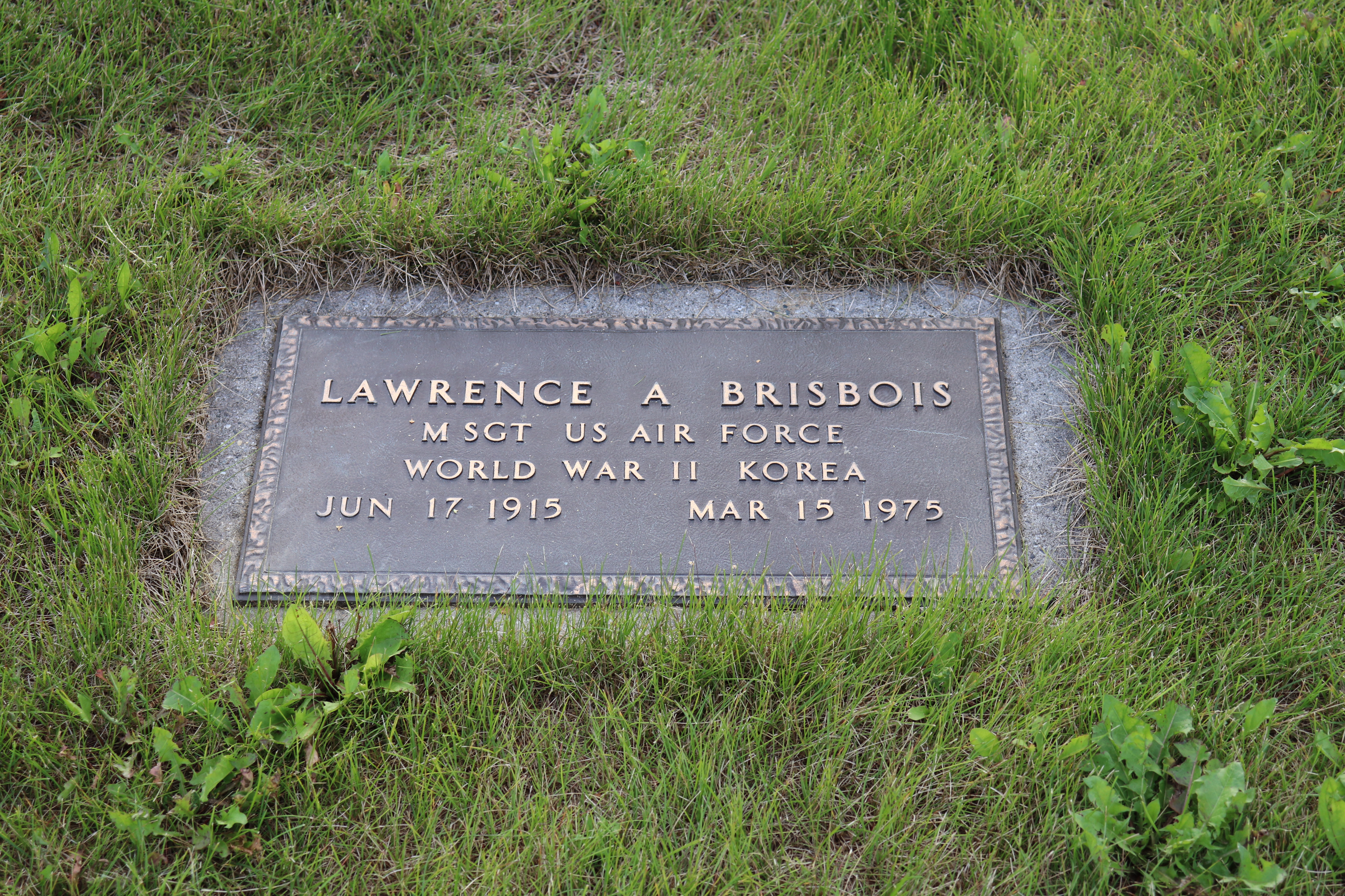 Photographed 22 July 2020.