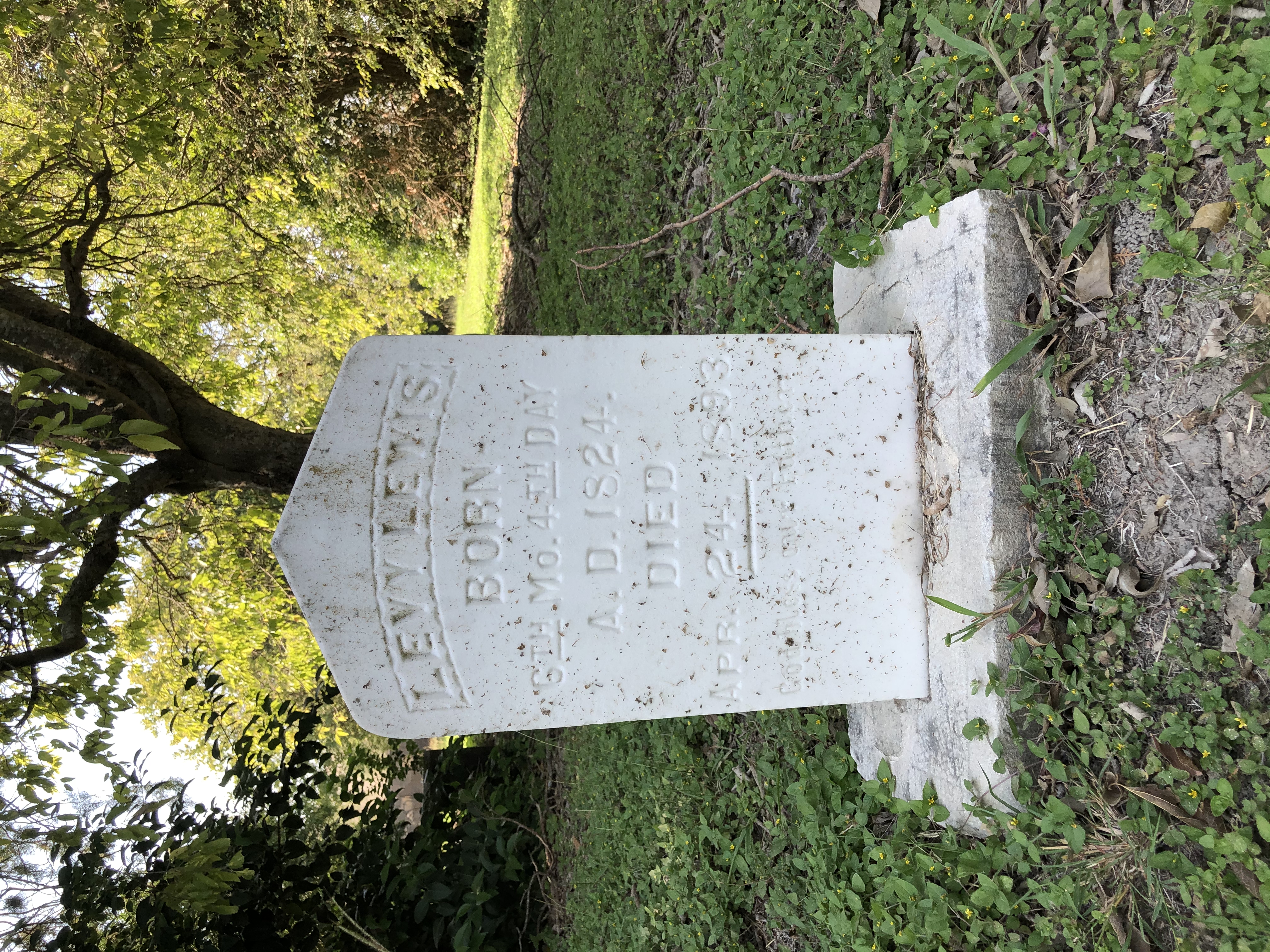 Photographed 06 October 2020.