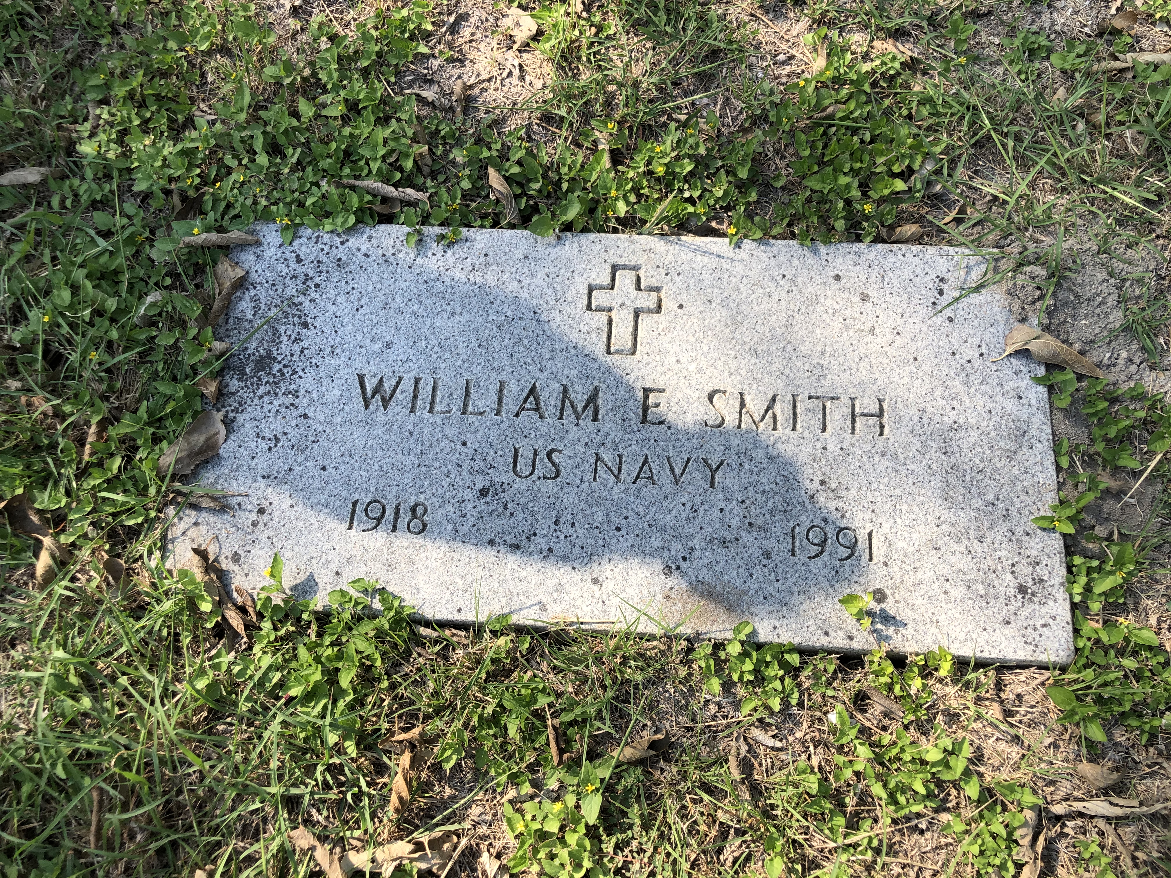 Photographed 06 October 2020.