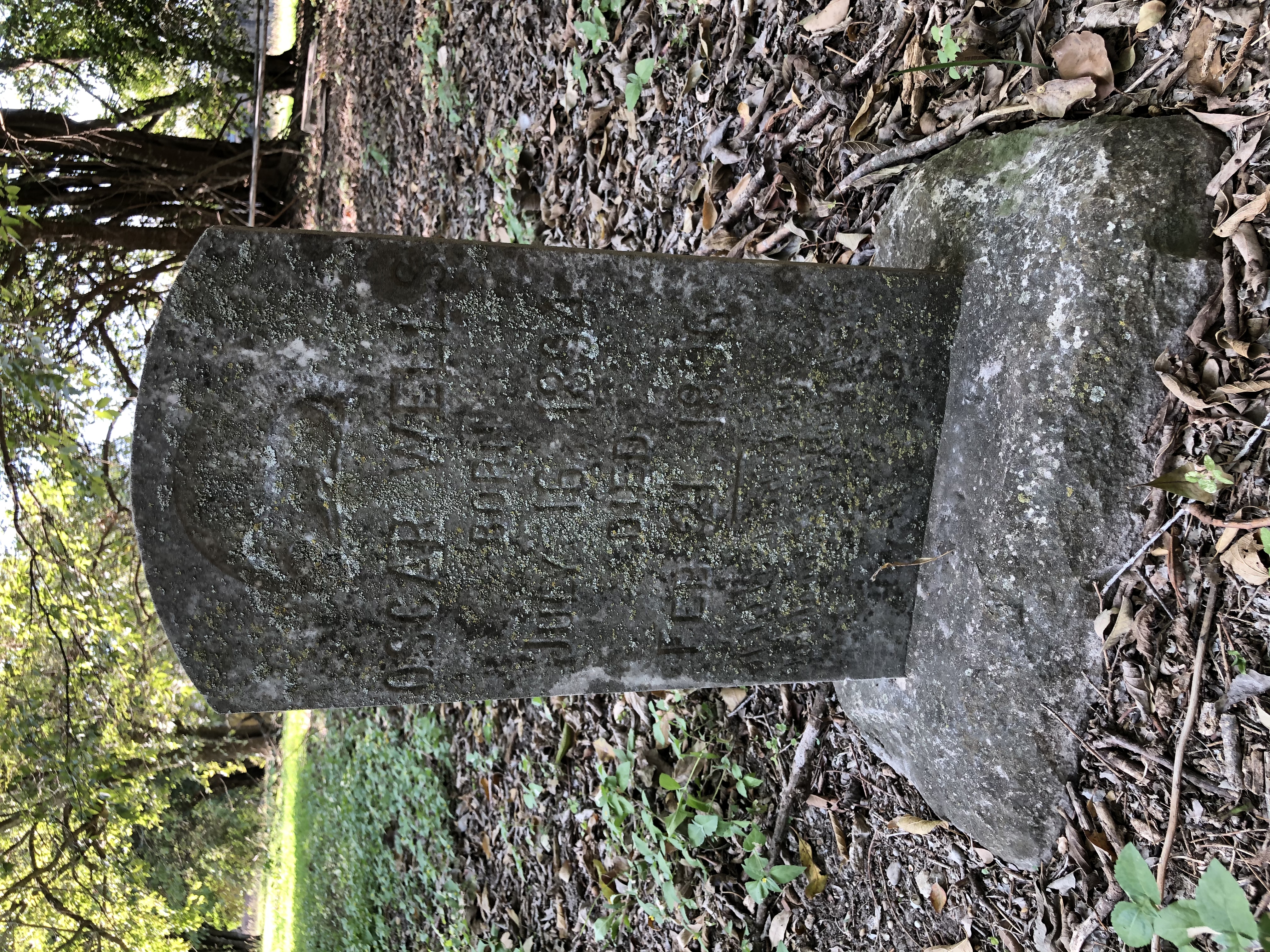 Photographed 06 October 2020.