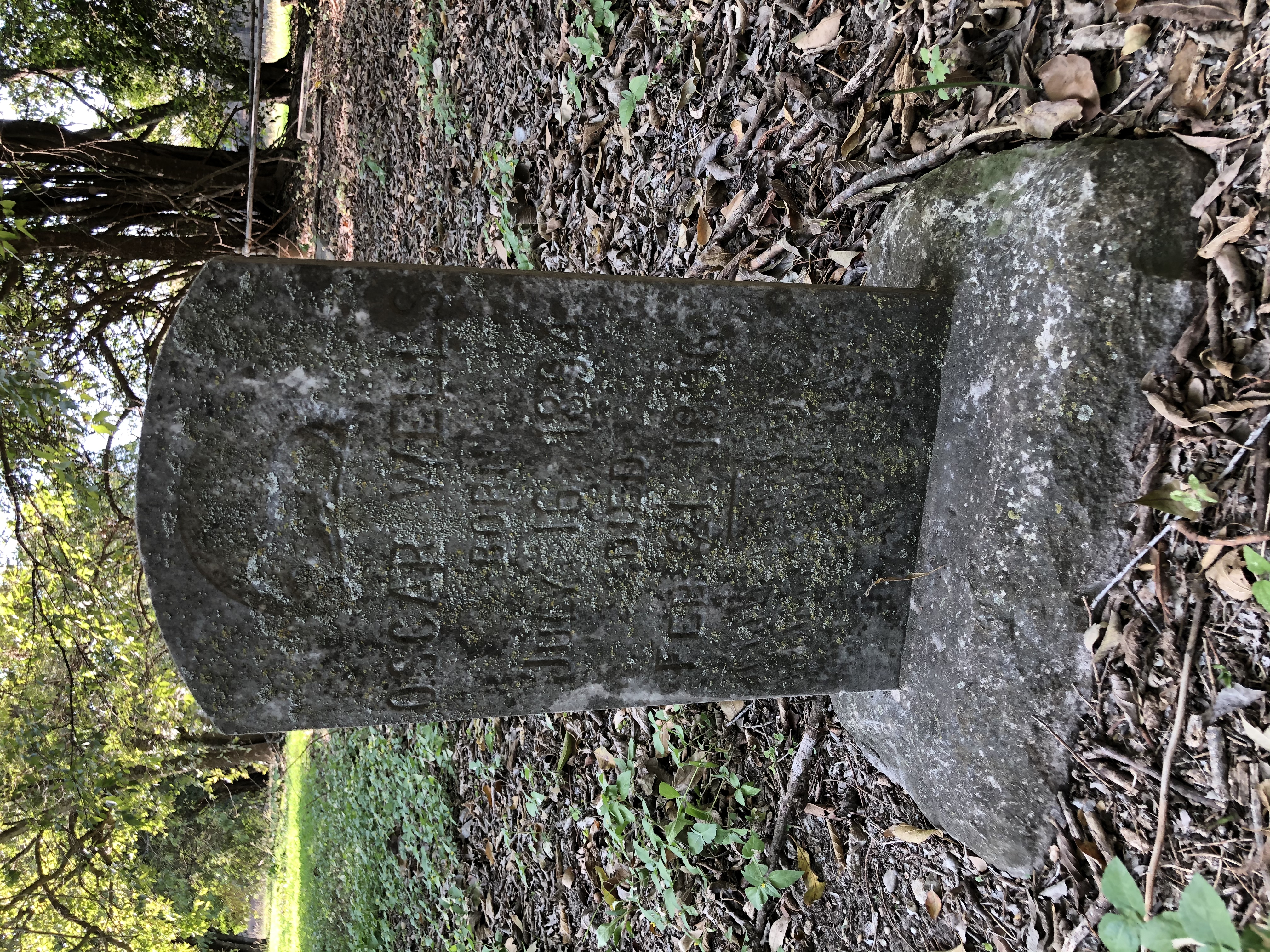 Photographed 06 October 2020.