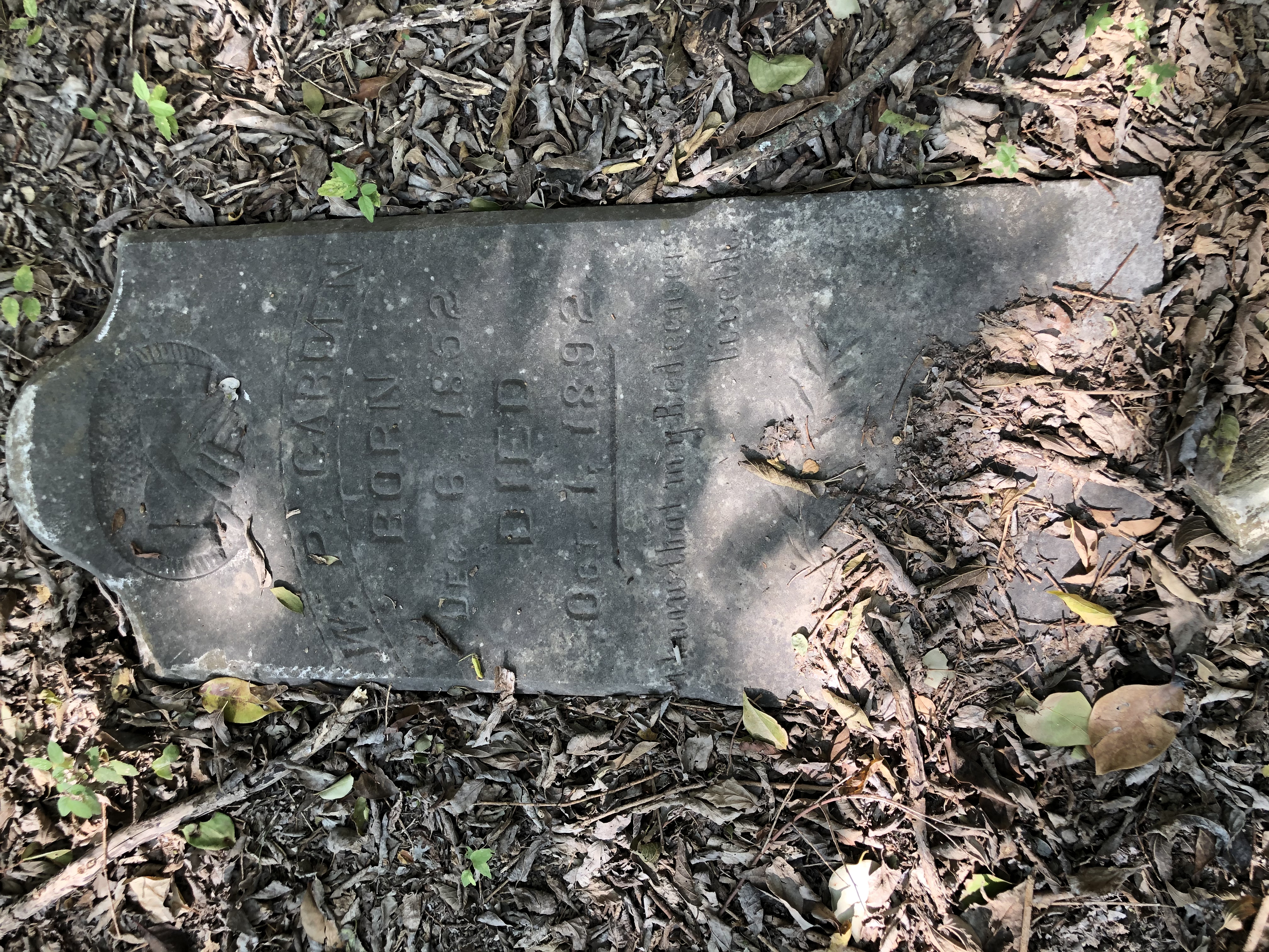 Photographed 06 October 2020.