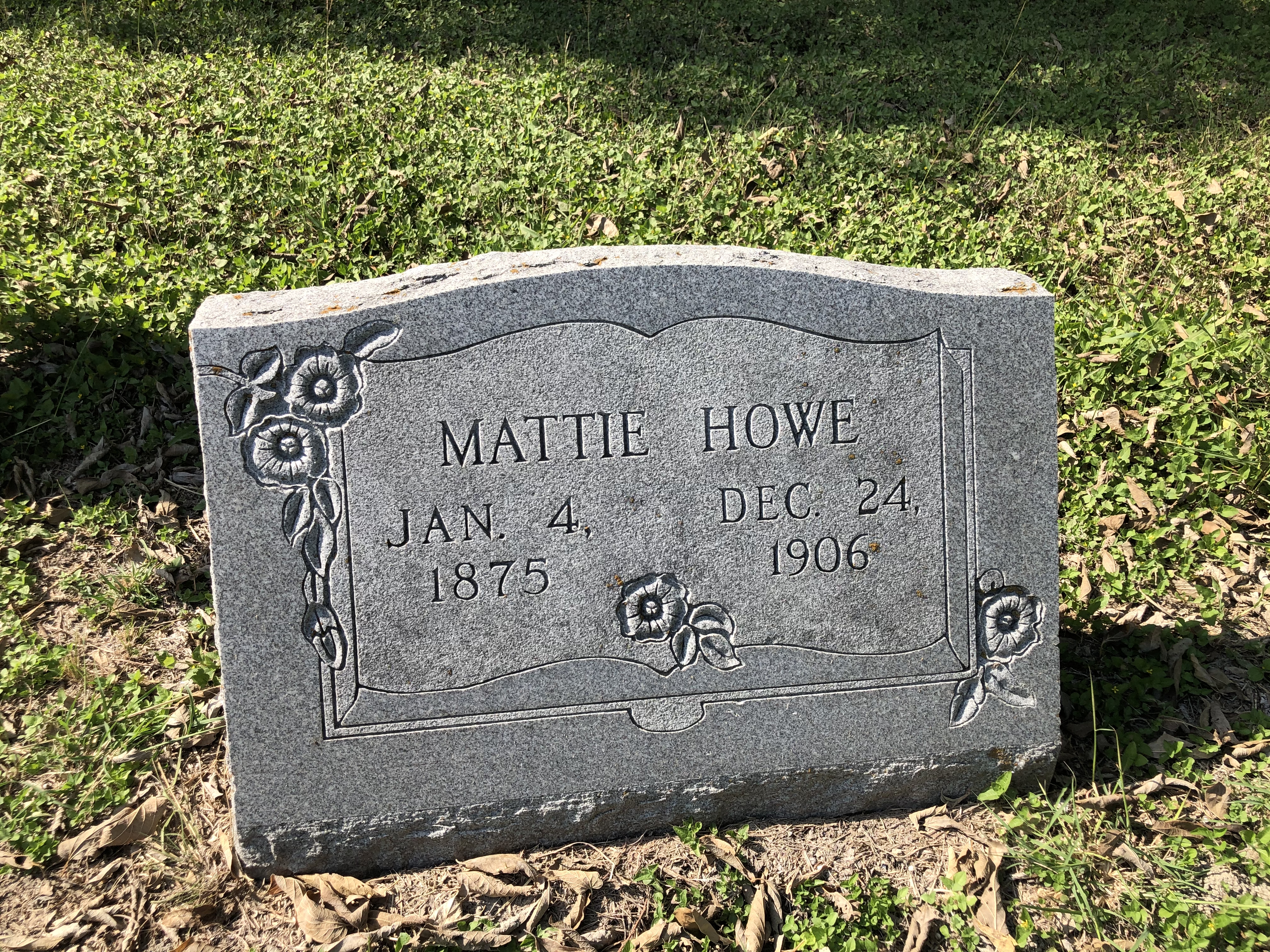 Photographed 06 October 2020.