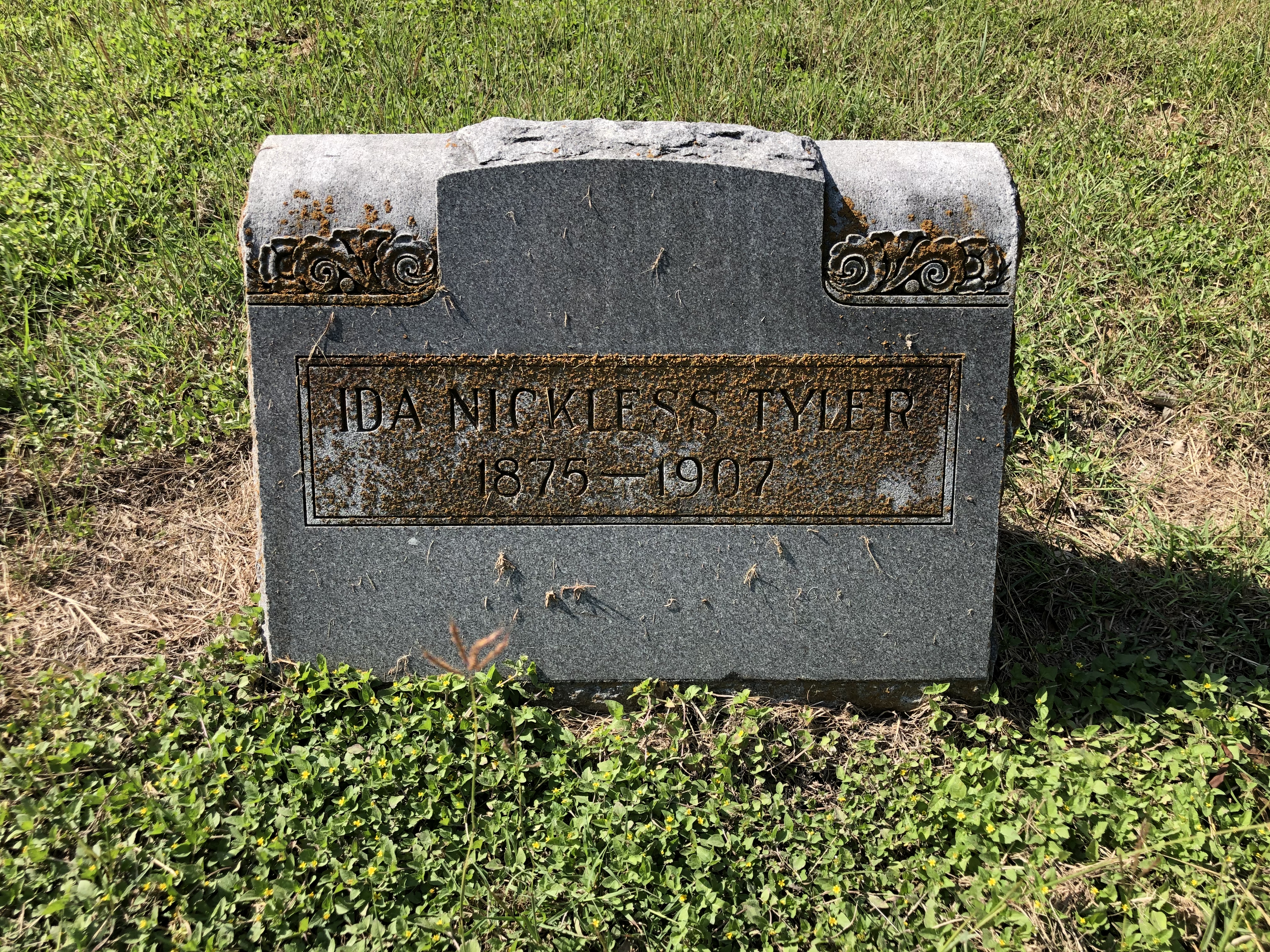 Photographed 06 October 2020.