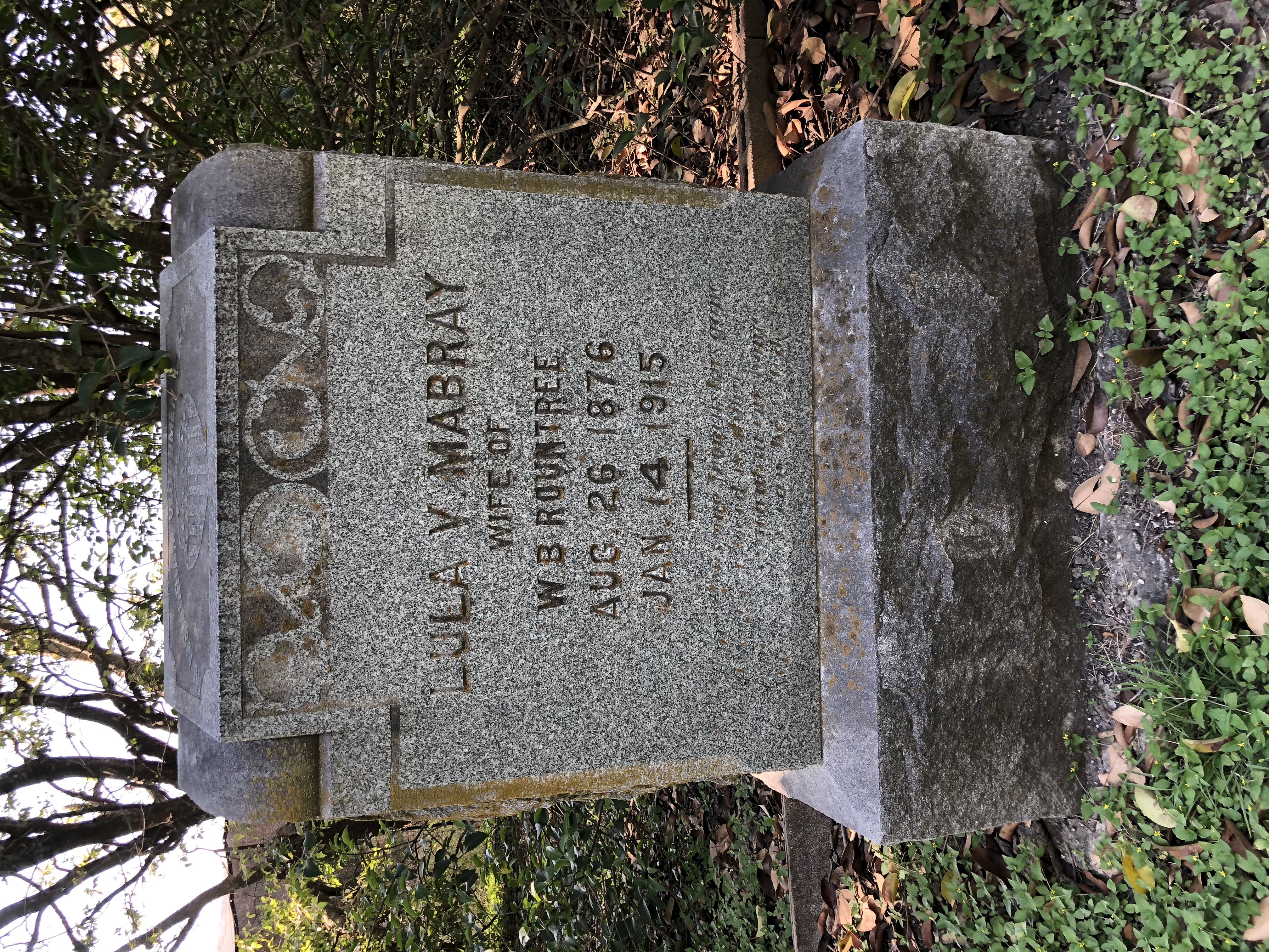 Photographed 06 October 2020.