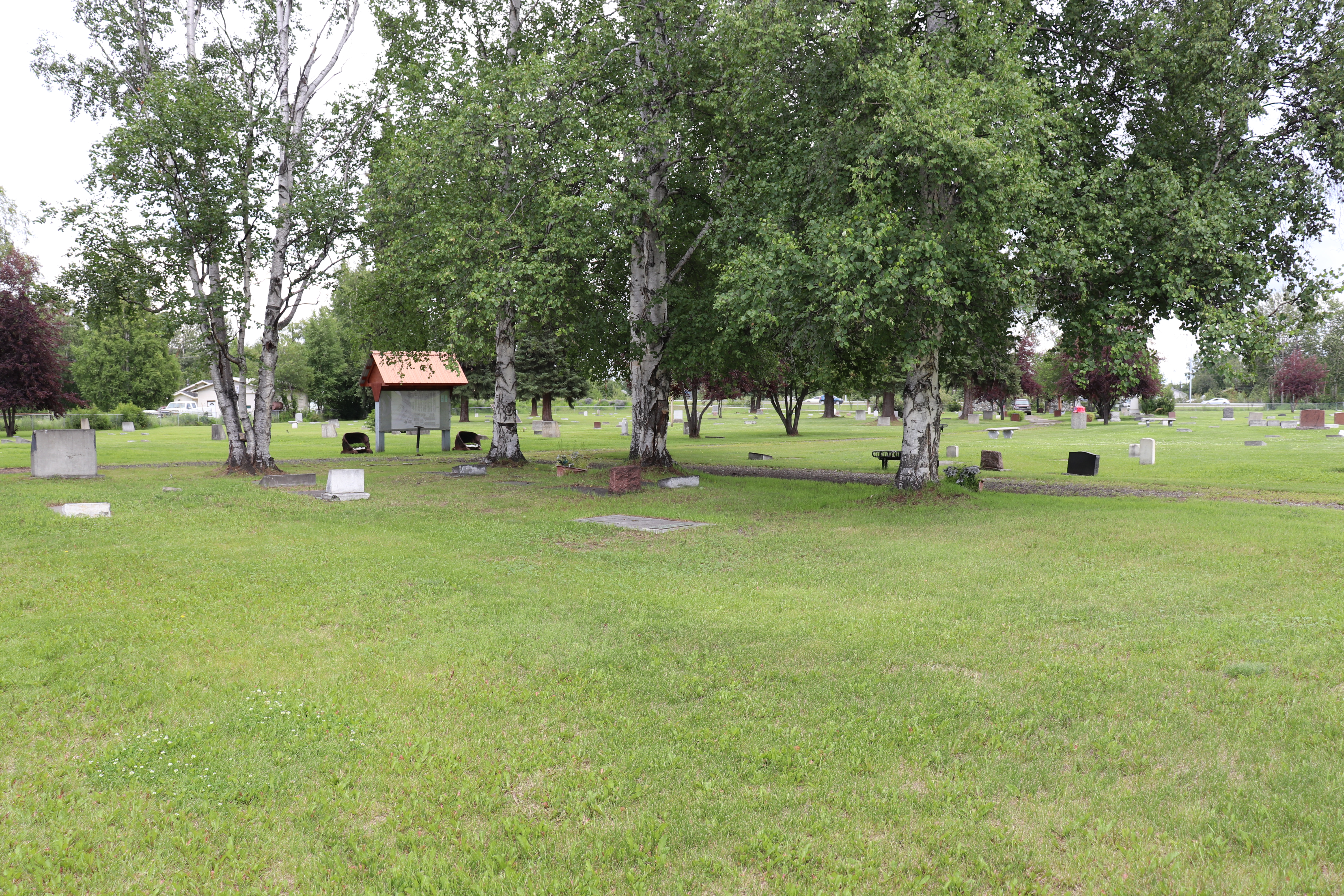 Photographed 18 July 2020.