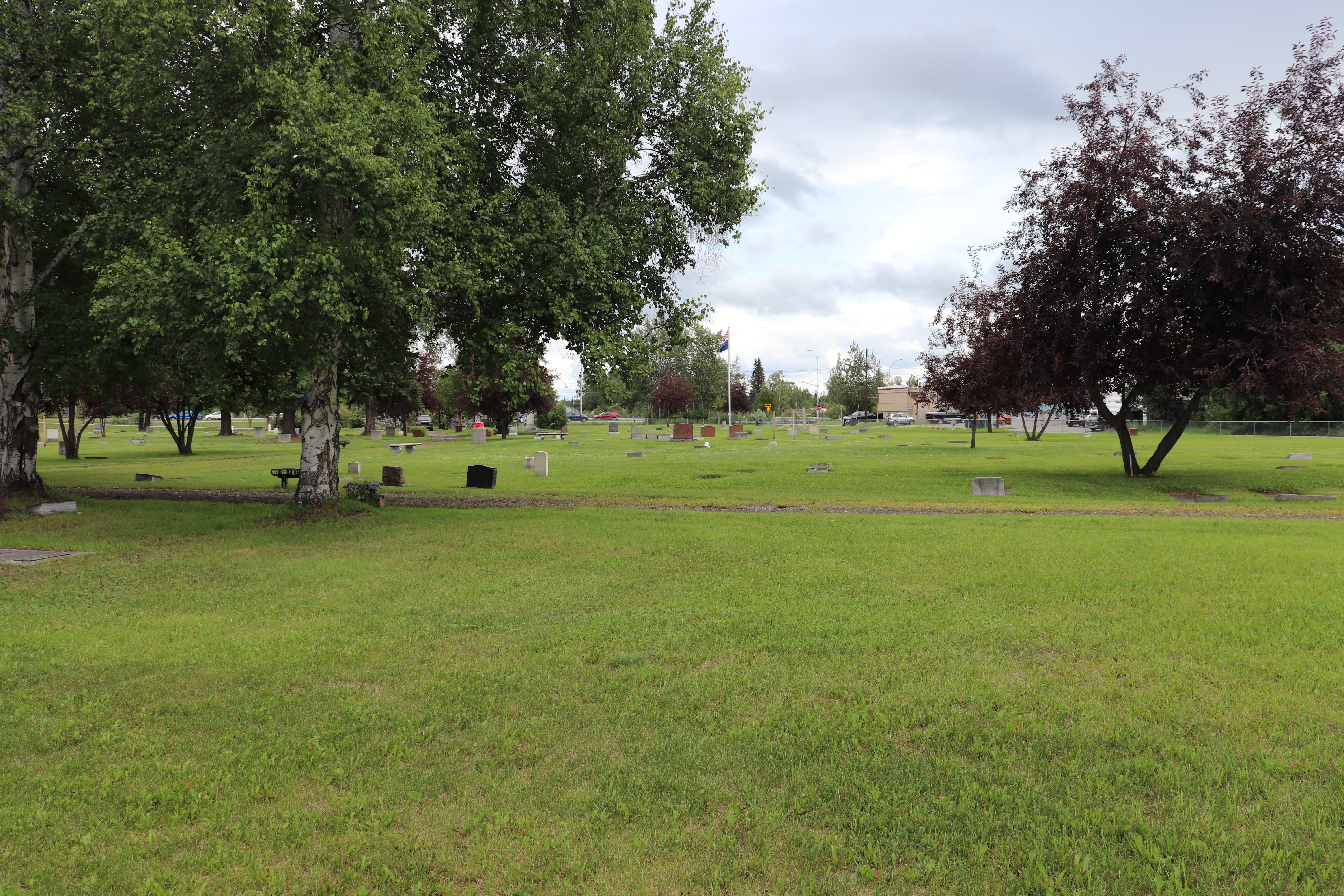 Photographed 18 July 2020.