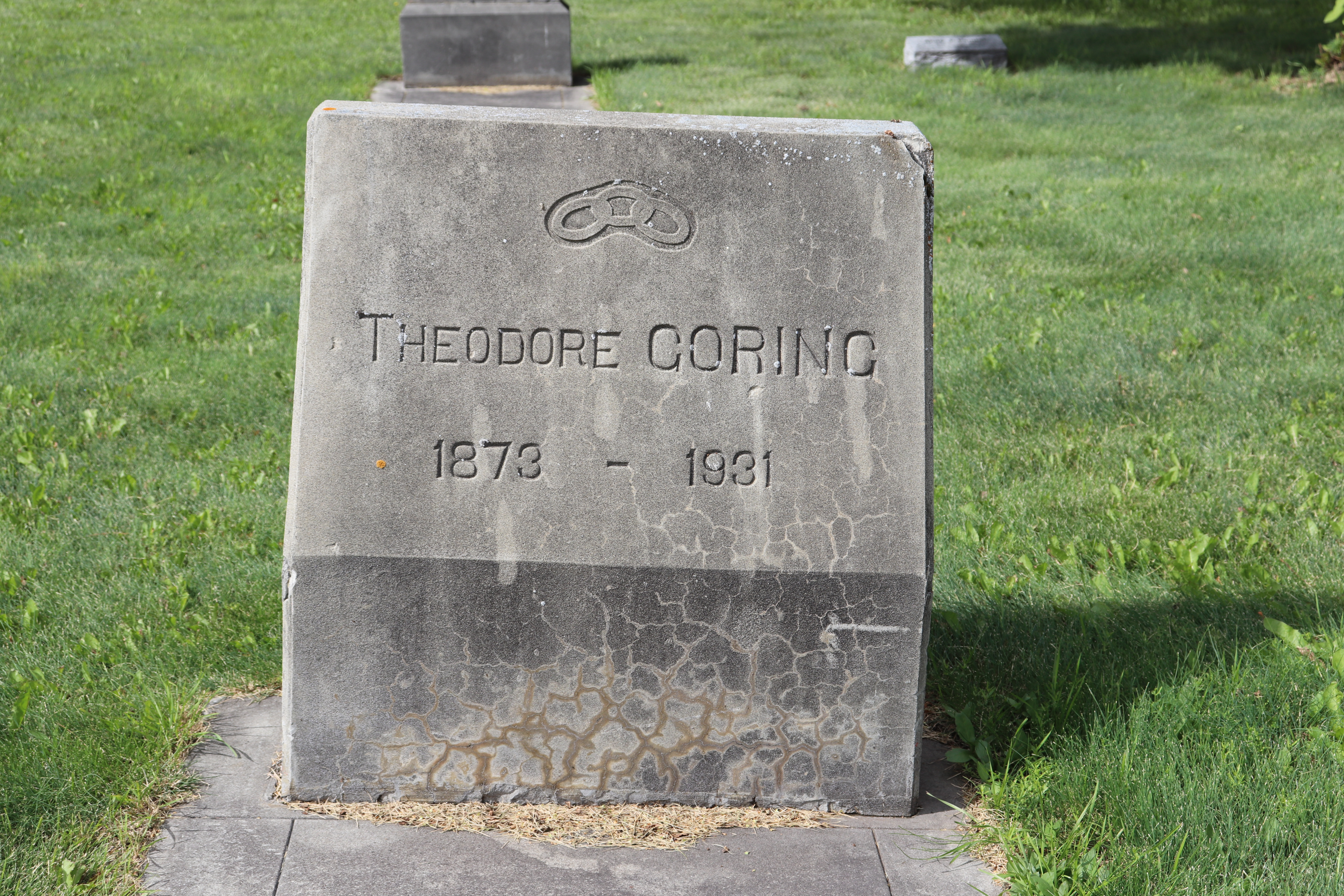 Photographed 18 July 2020.