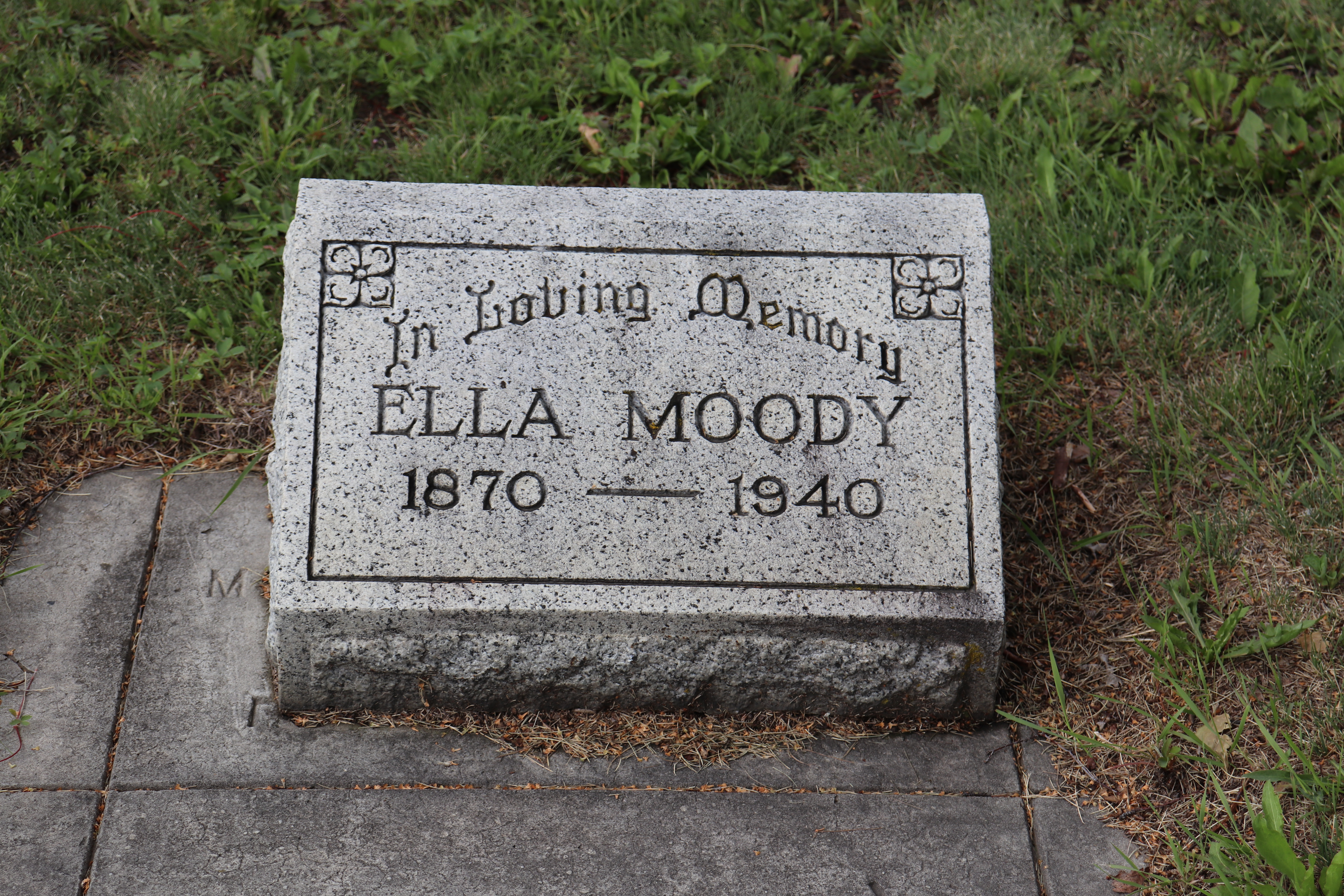 Photographed 18 July 2020.