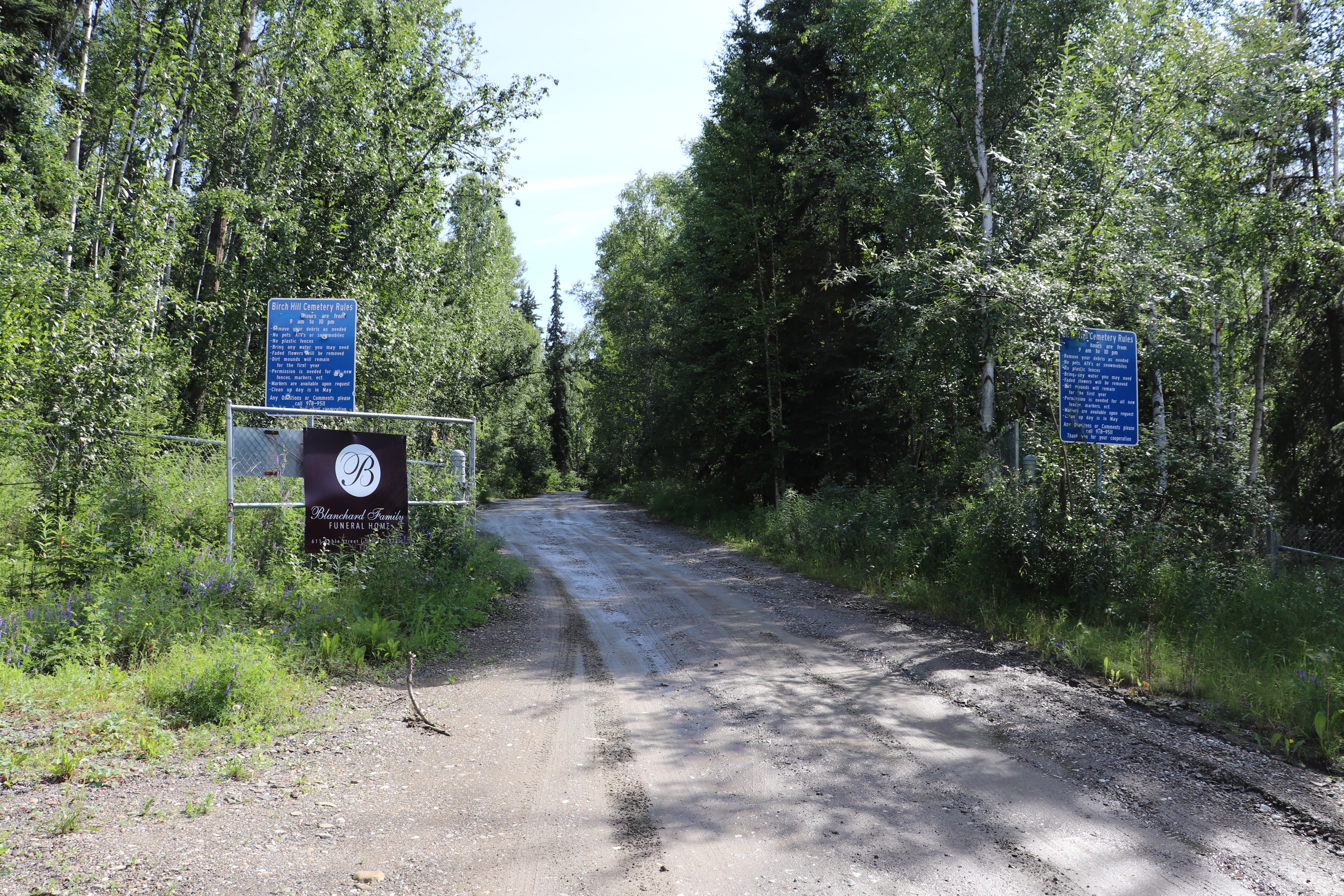 Photographed 18 July 2020.