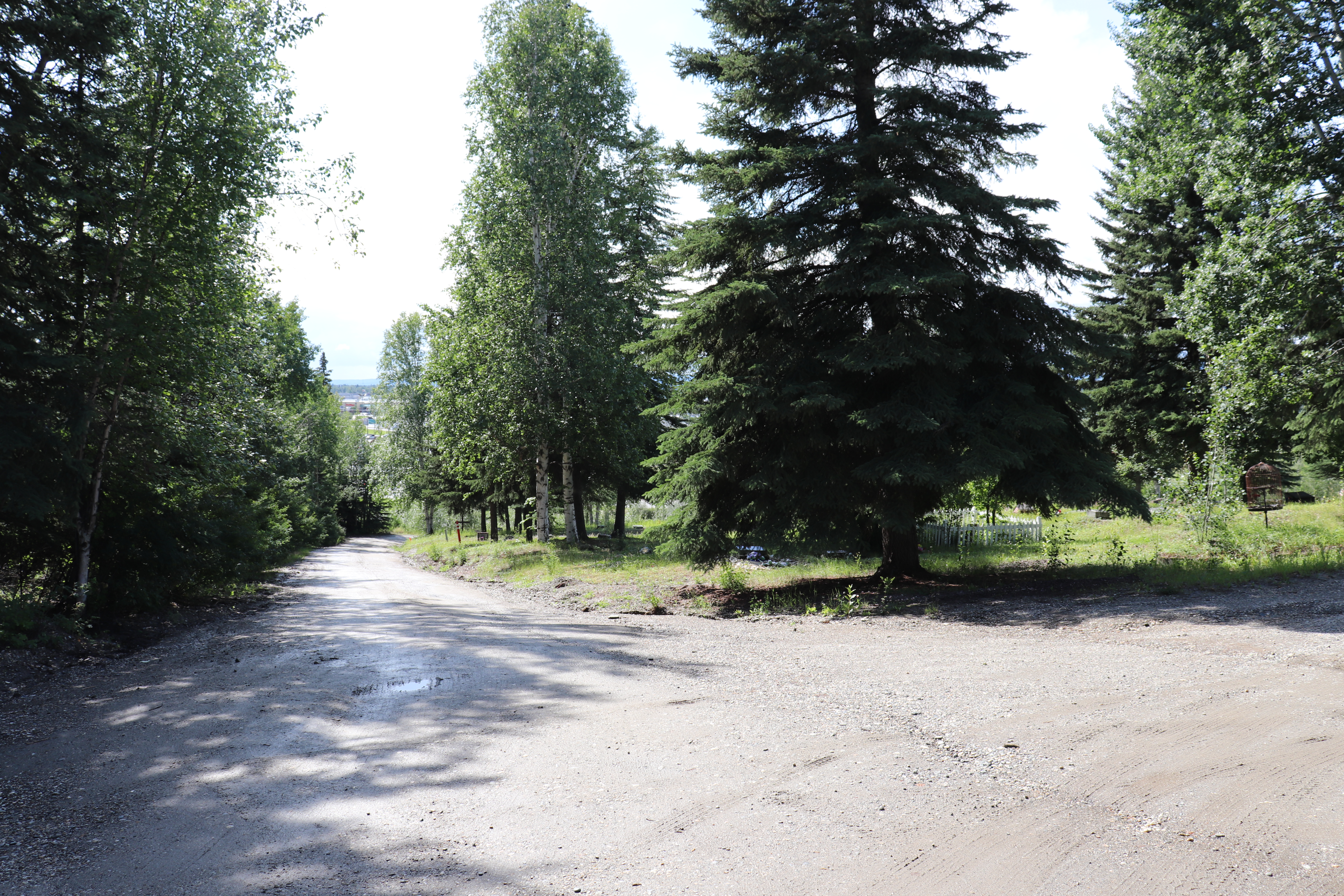 Photographed 18 July 2020.