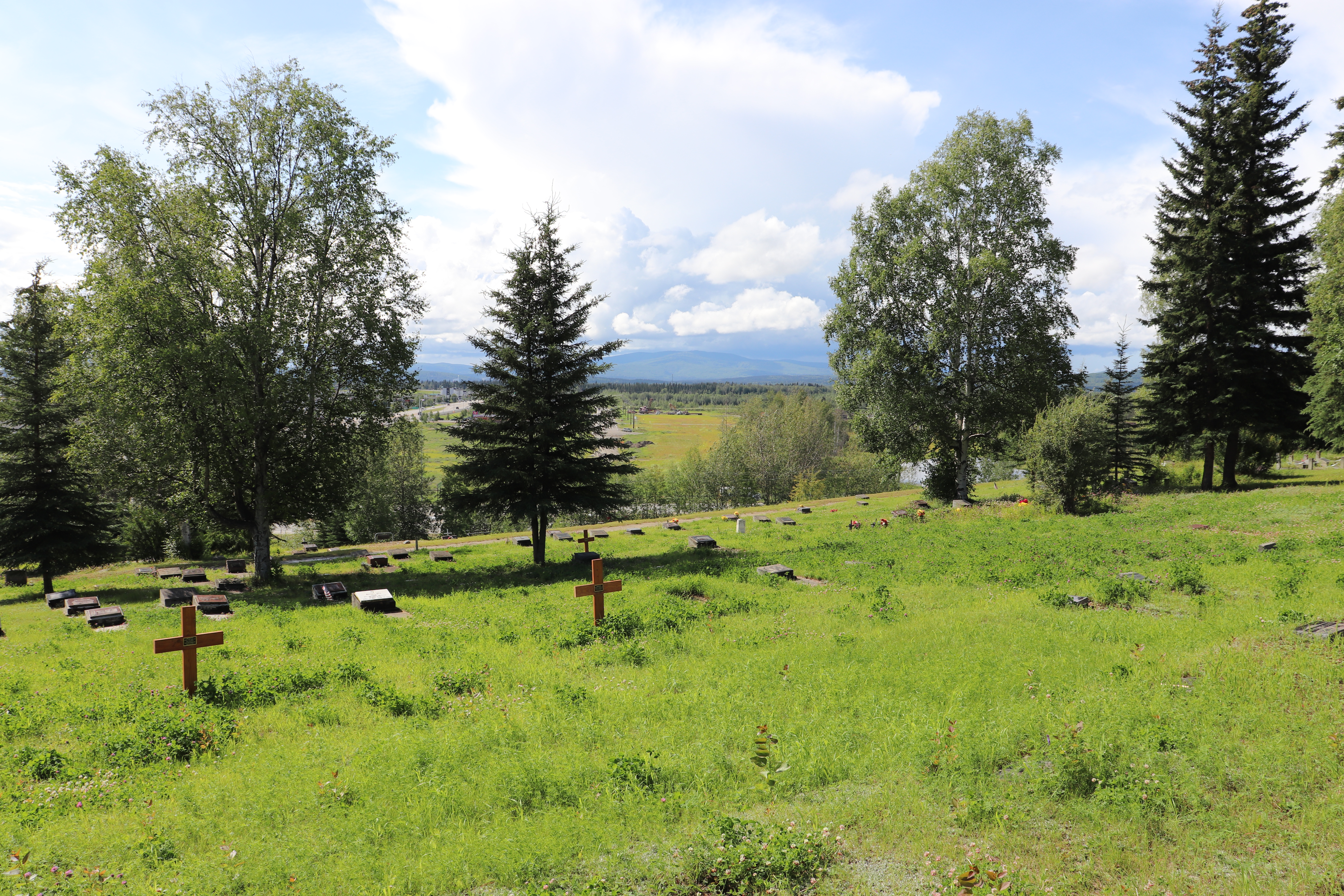 Photographed 18 July 2020.