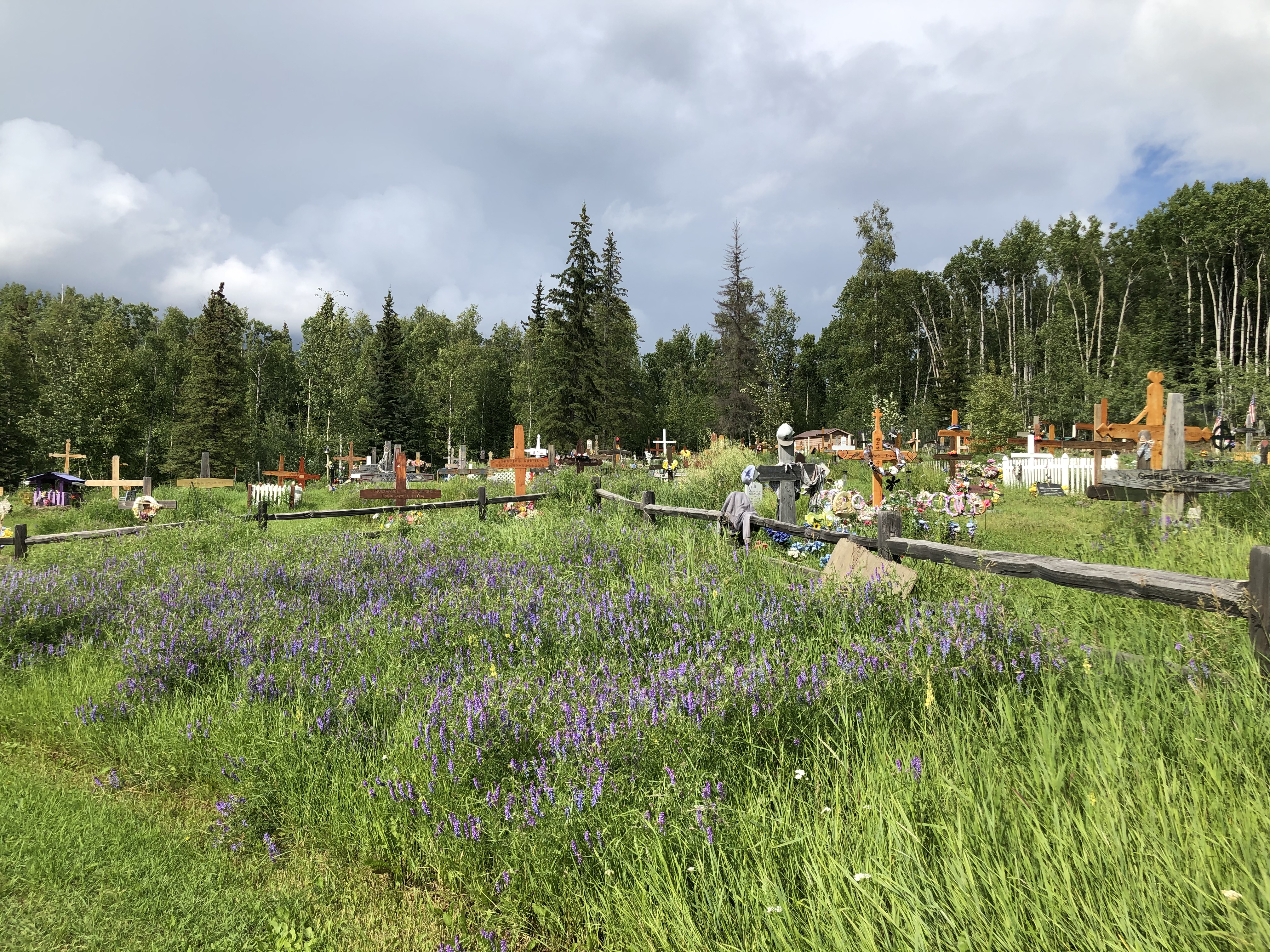 Photographed 18 July 2020.