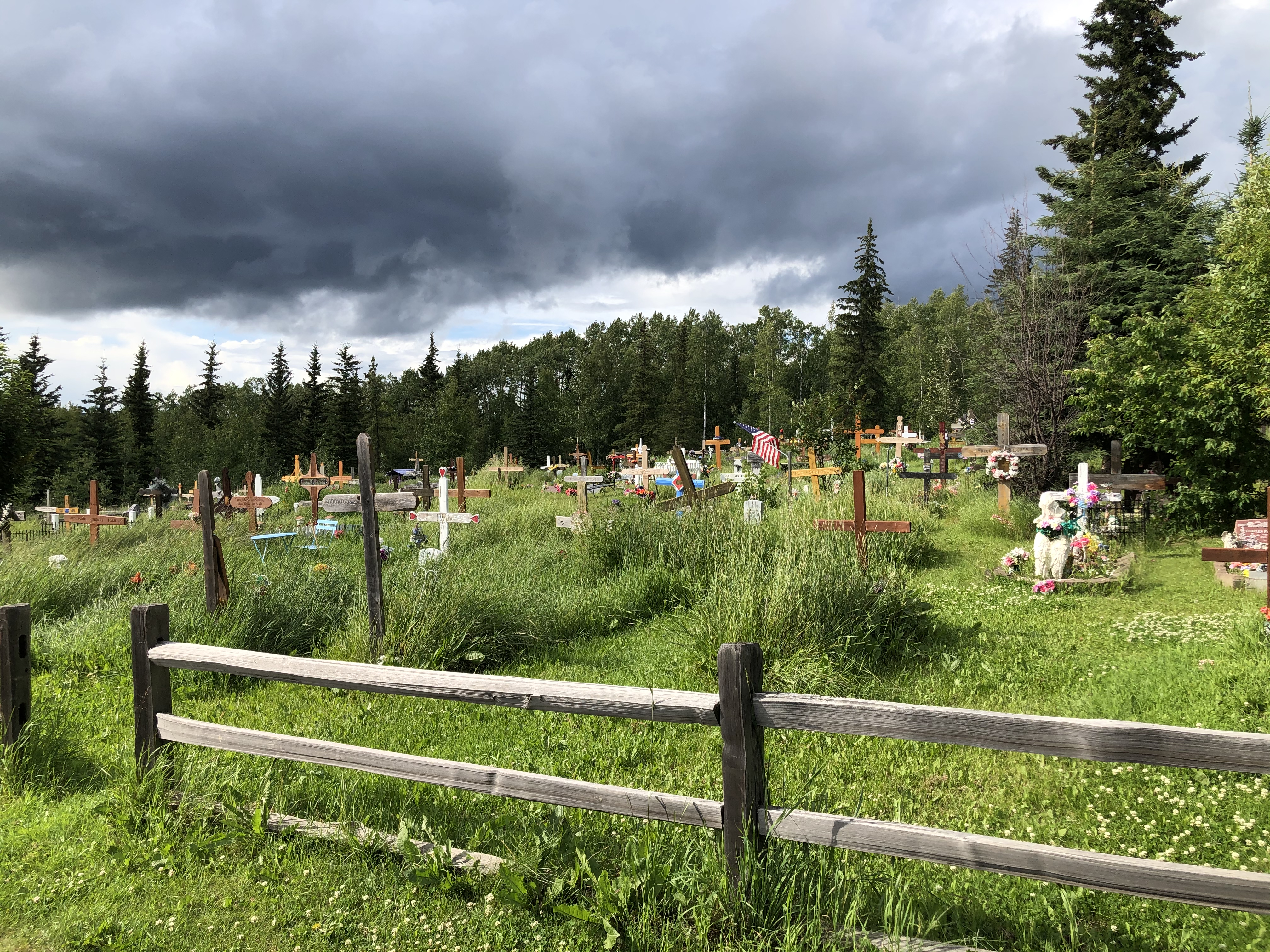 Photographed 18 July 2020.