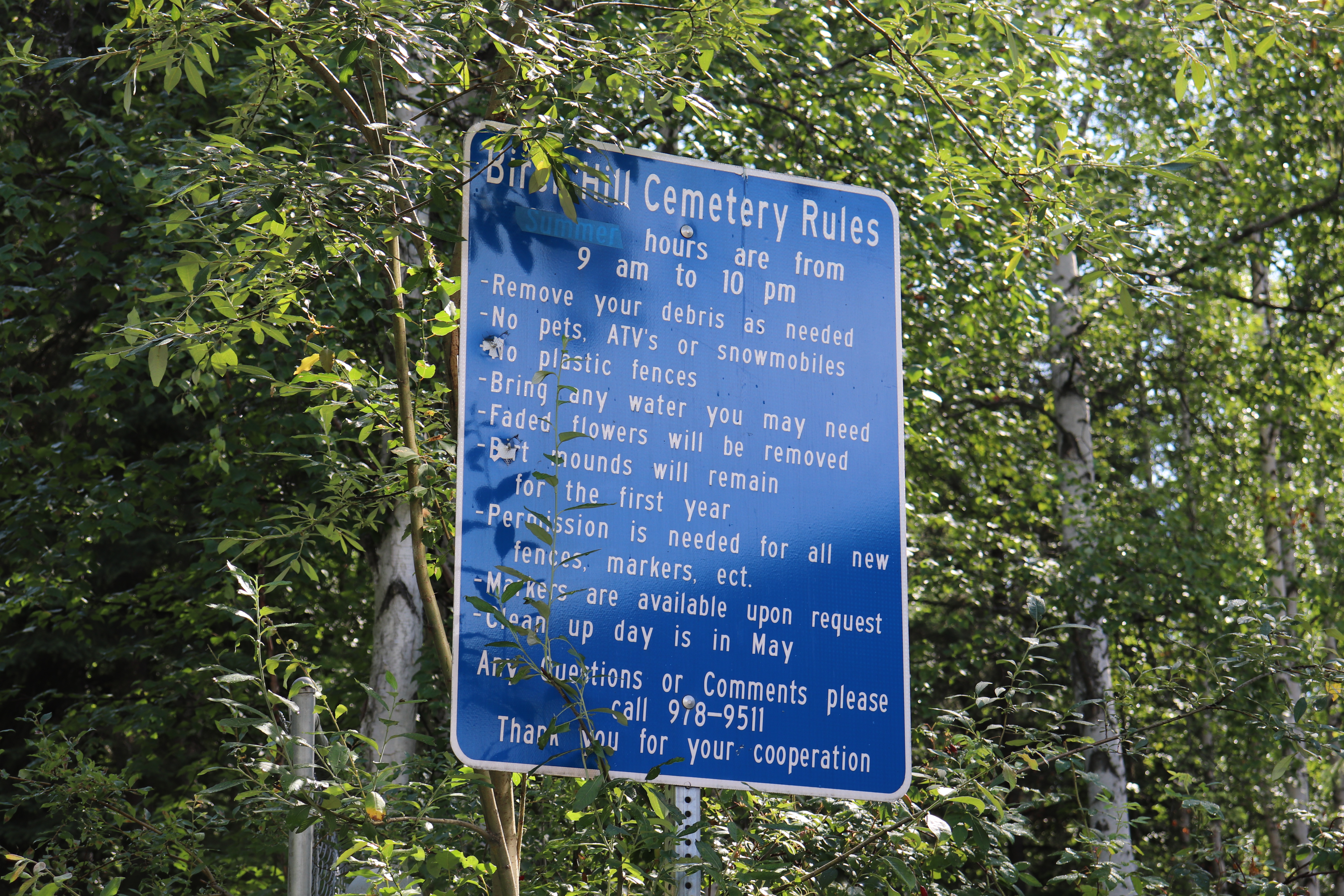 Photographed 18 July 2020.