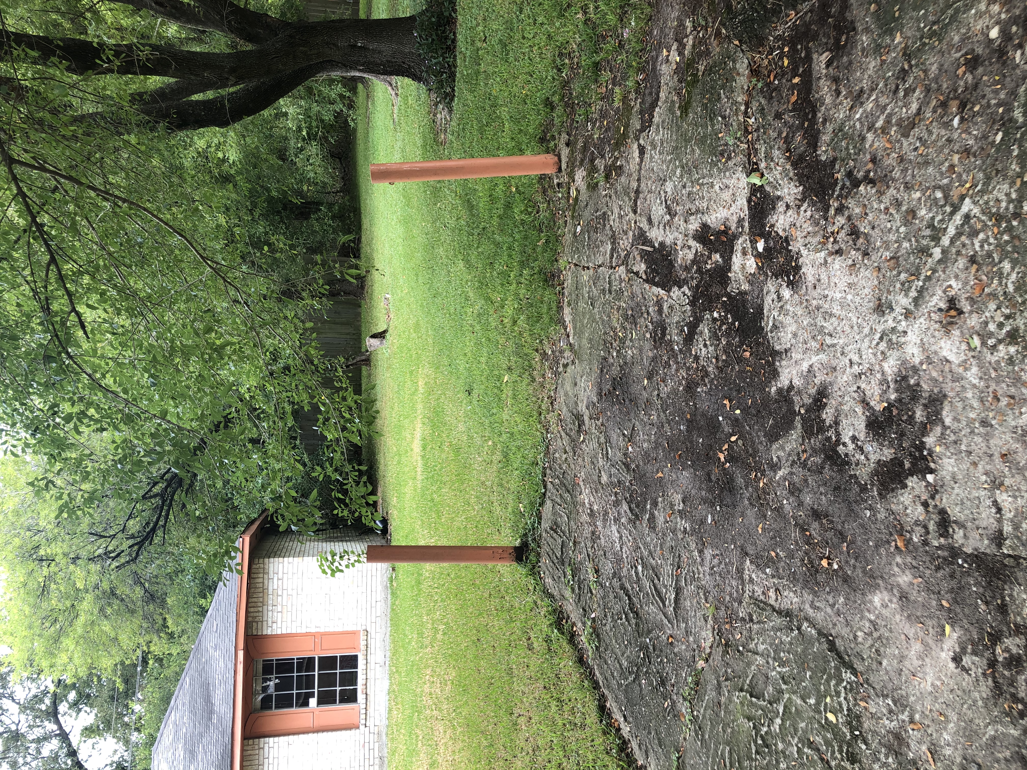 Photographed 08 October 2020.