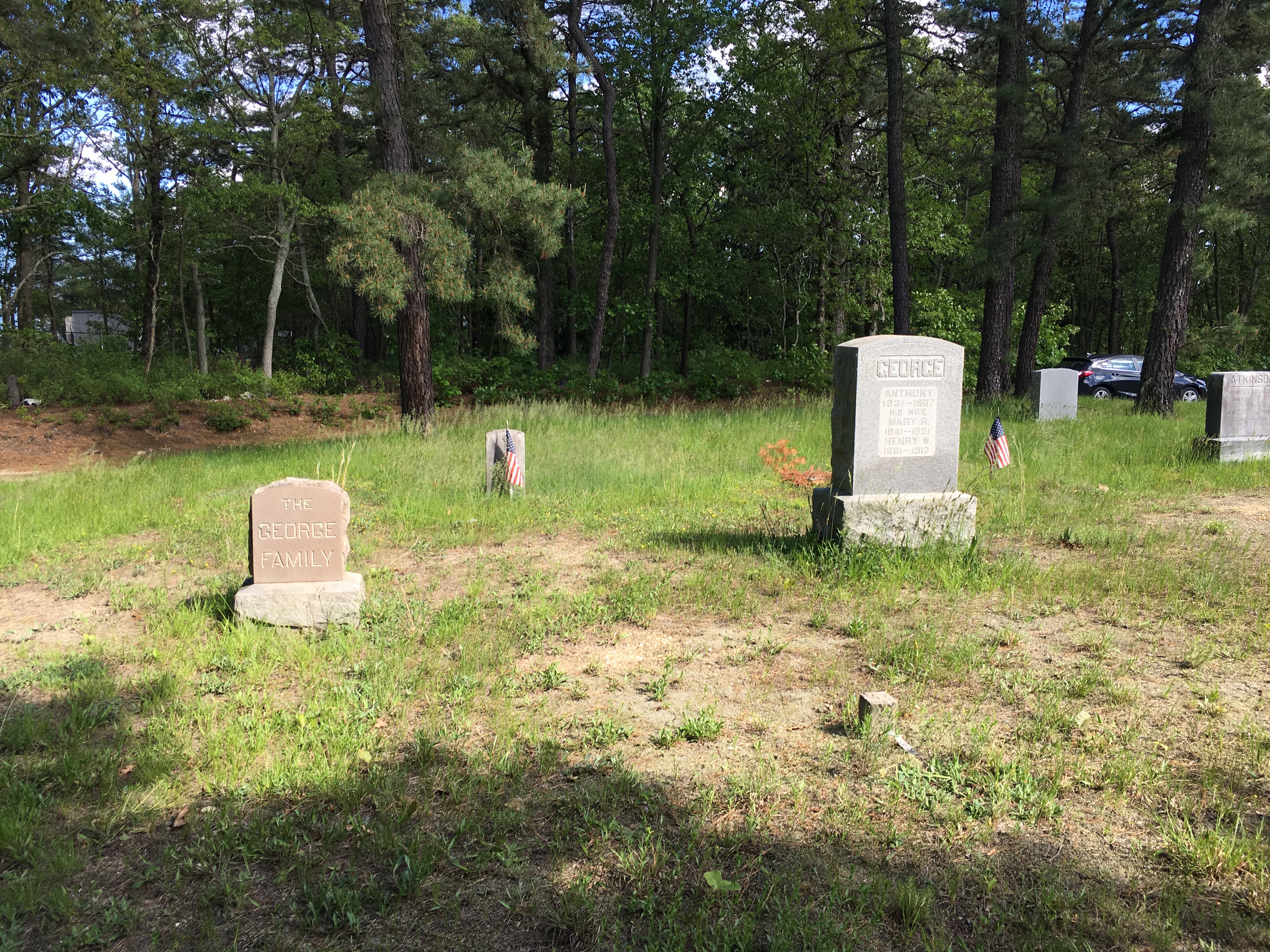 Photographed 23 May 2018.