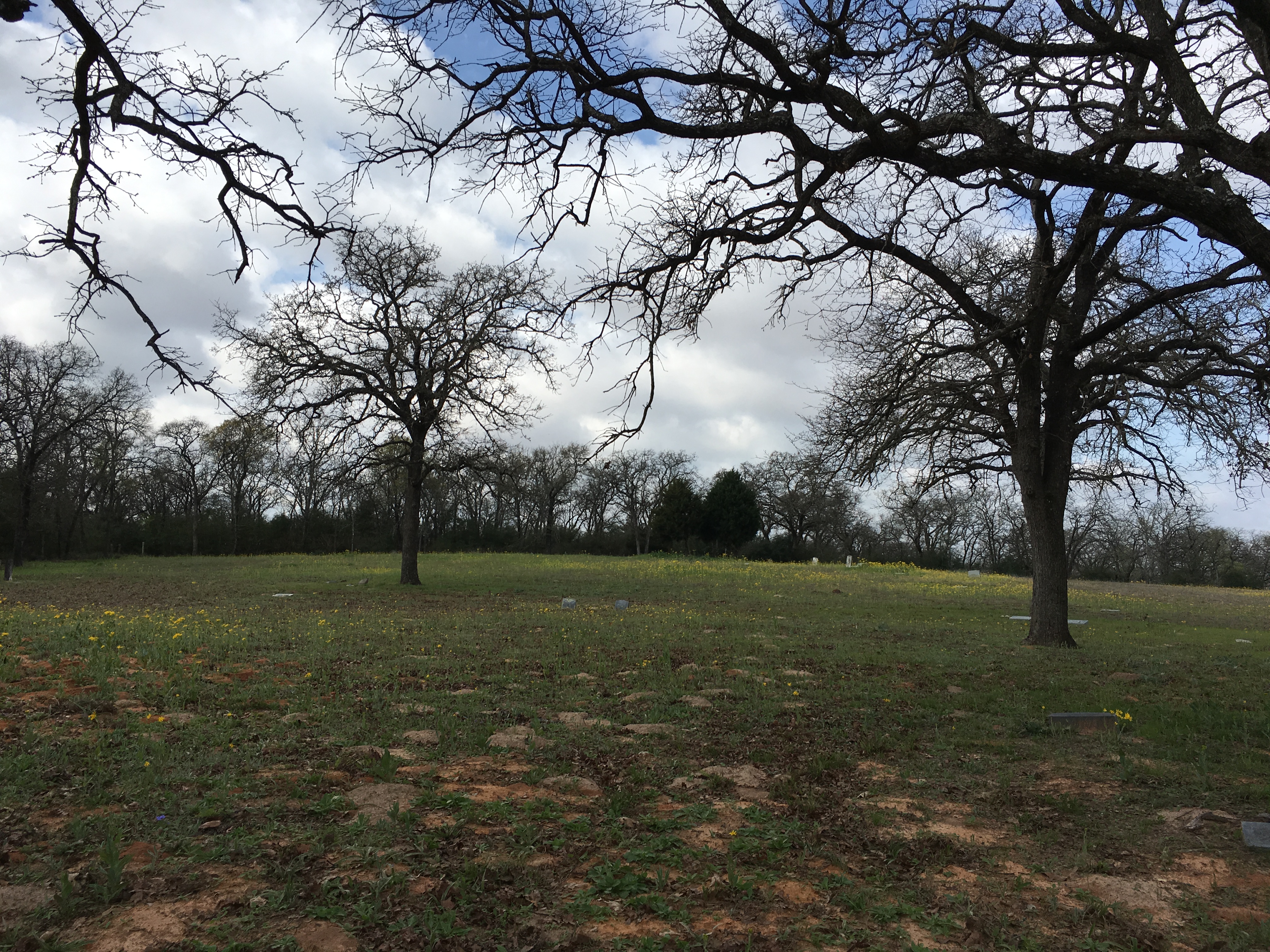 Photographed 16 Mar 2018.