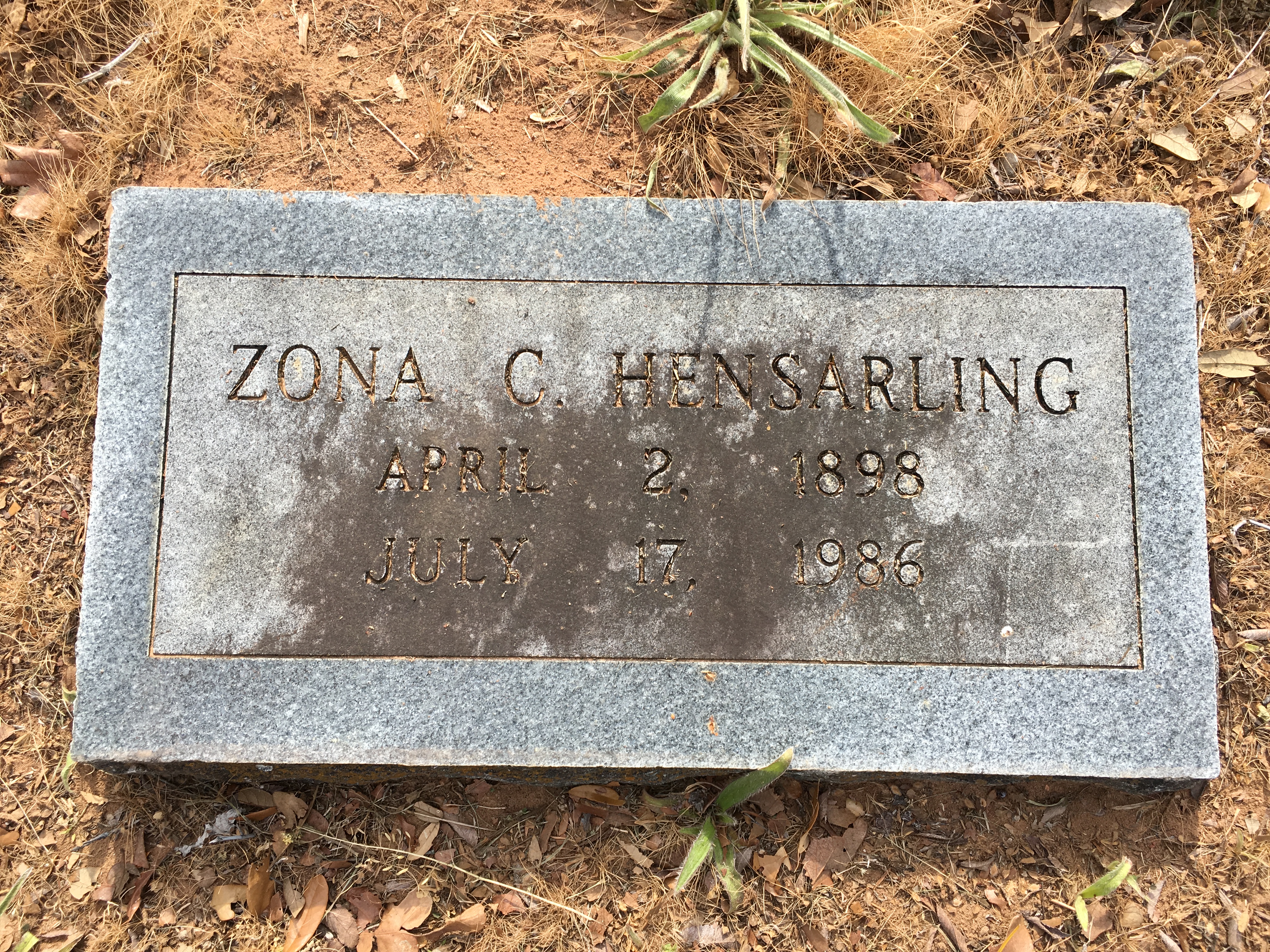 Photographed 16 June 2018.