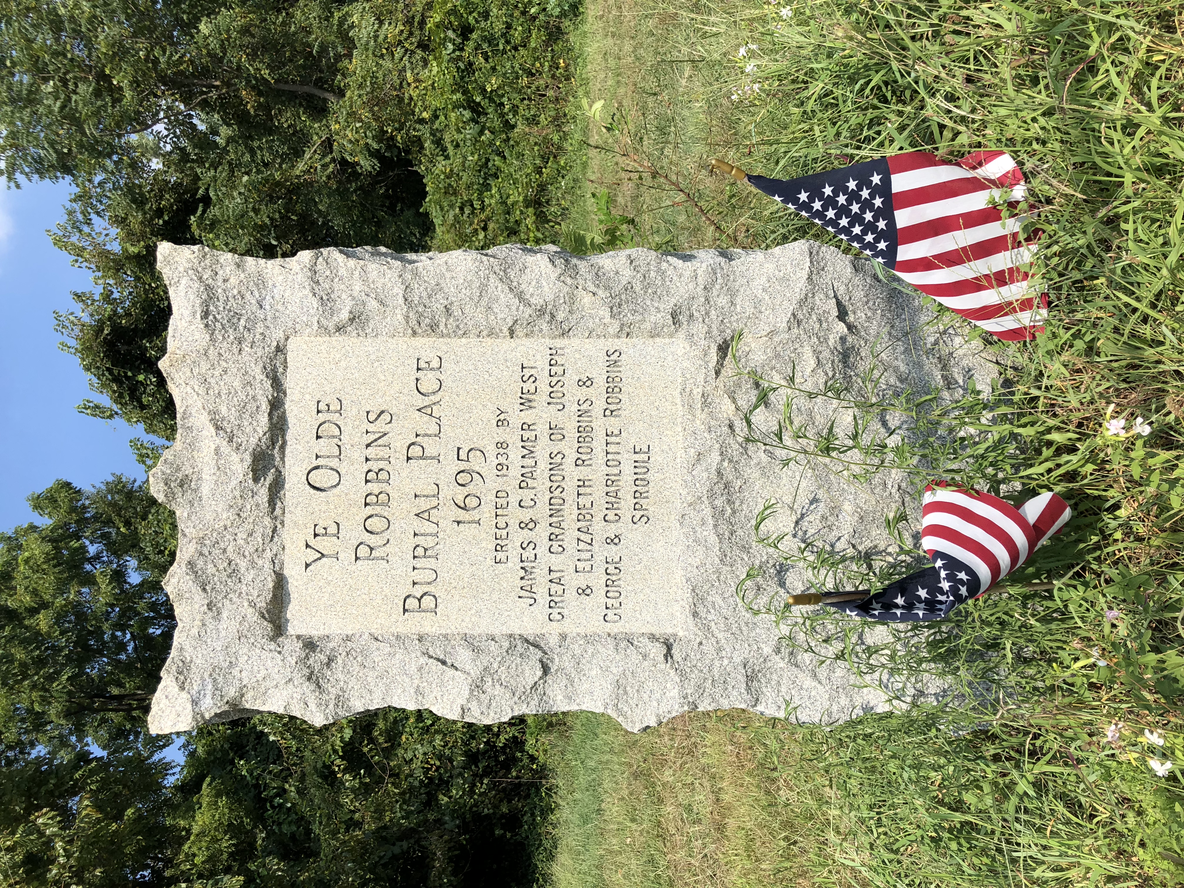 Photographed 19 August 2018.