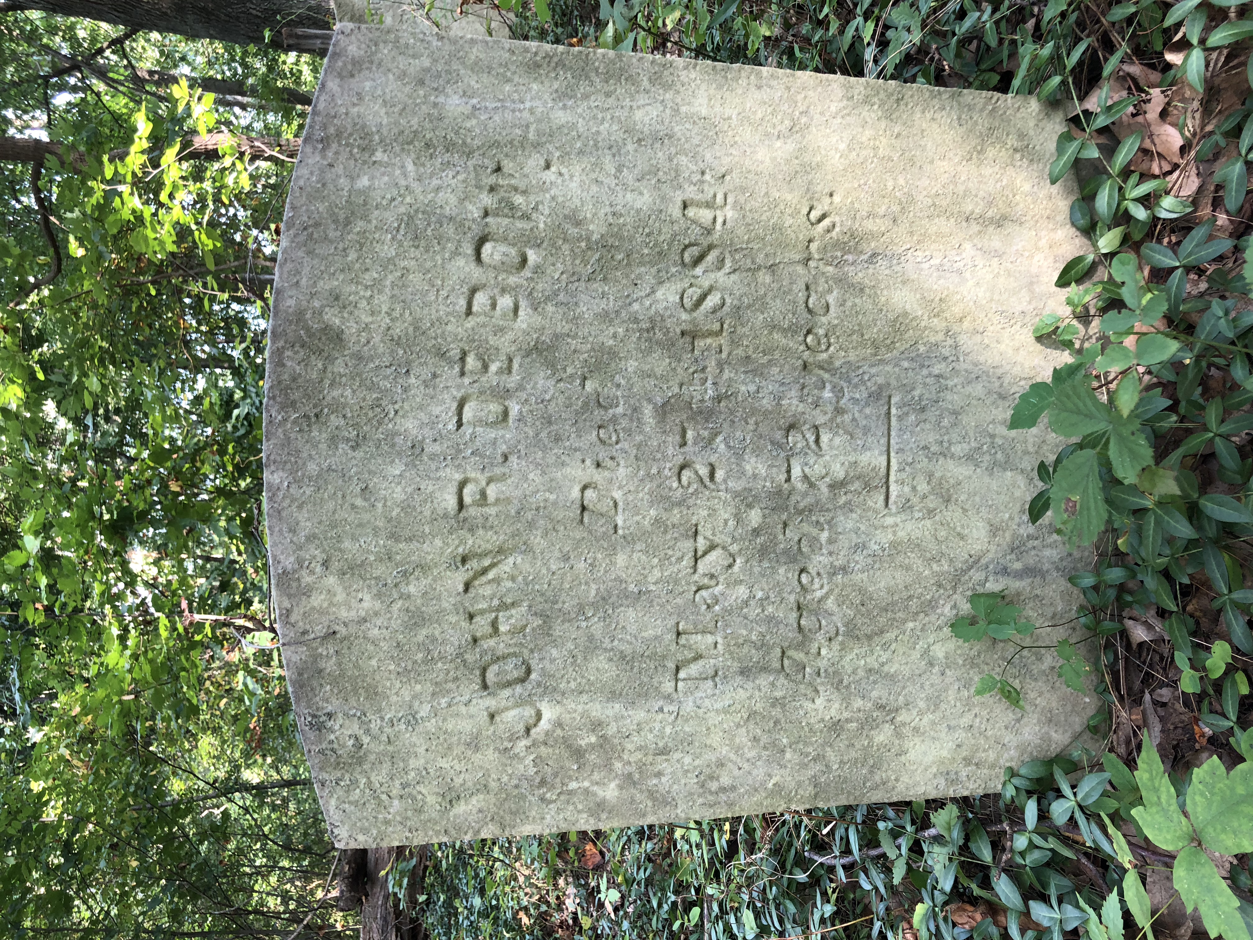 Photographed 29 August 2018.