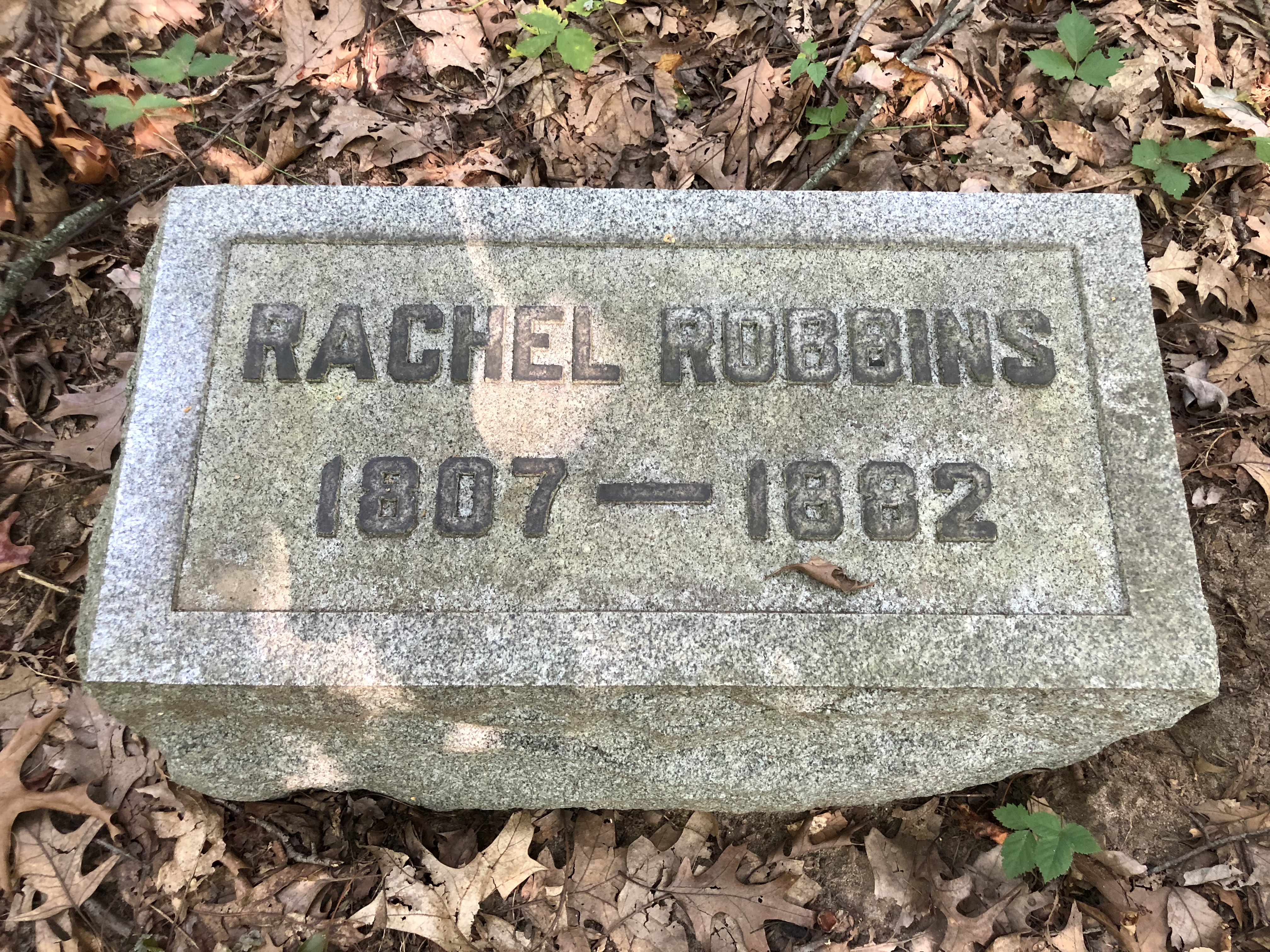 Photographed 29 August 2018.