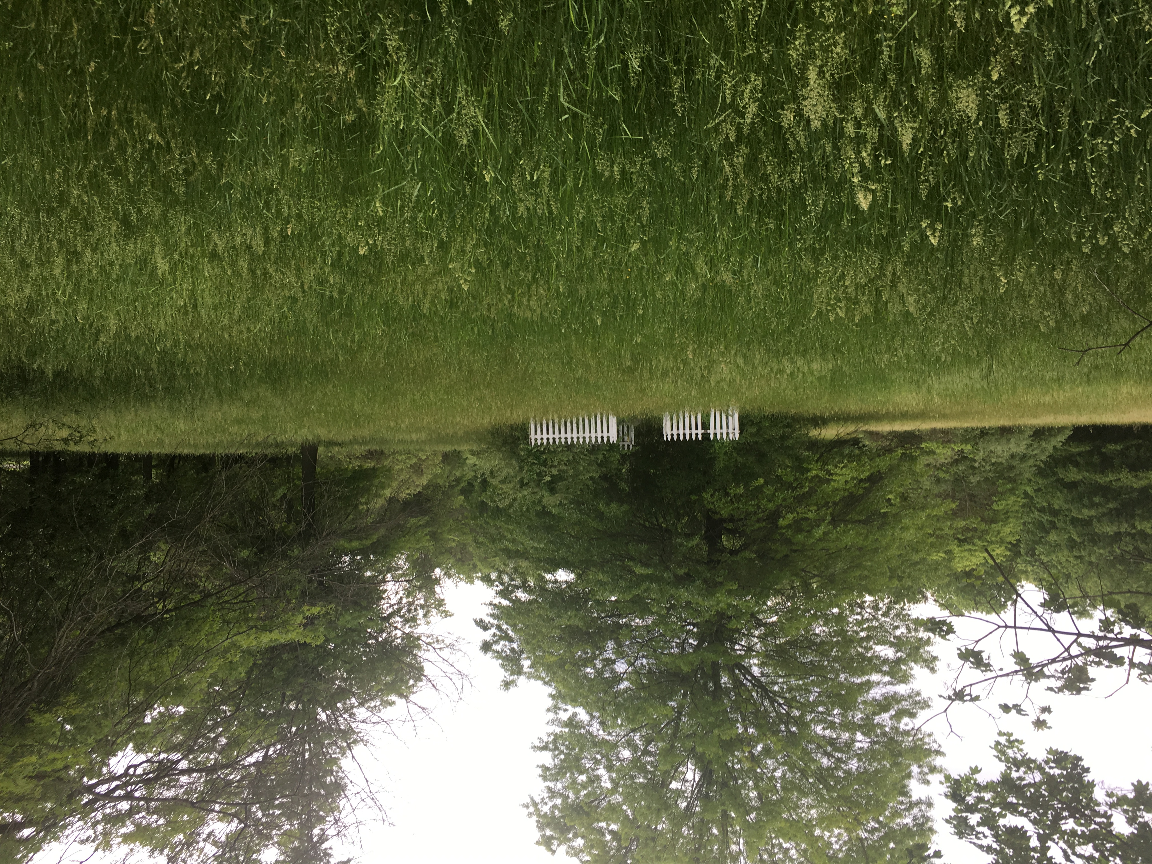 Photographed 22 May 2018.