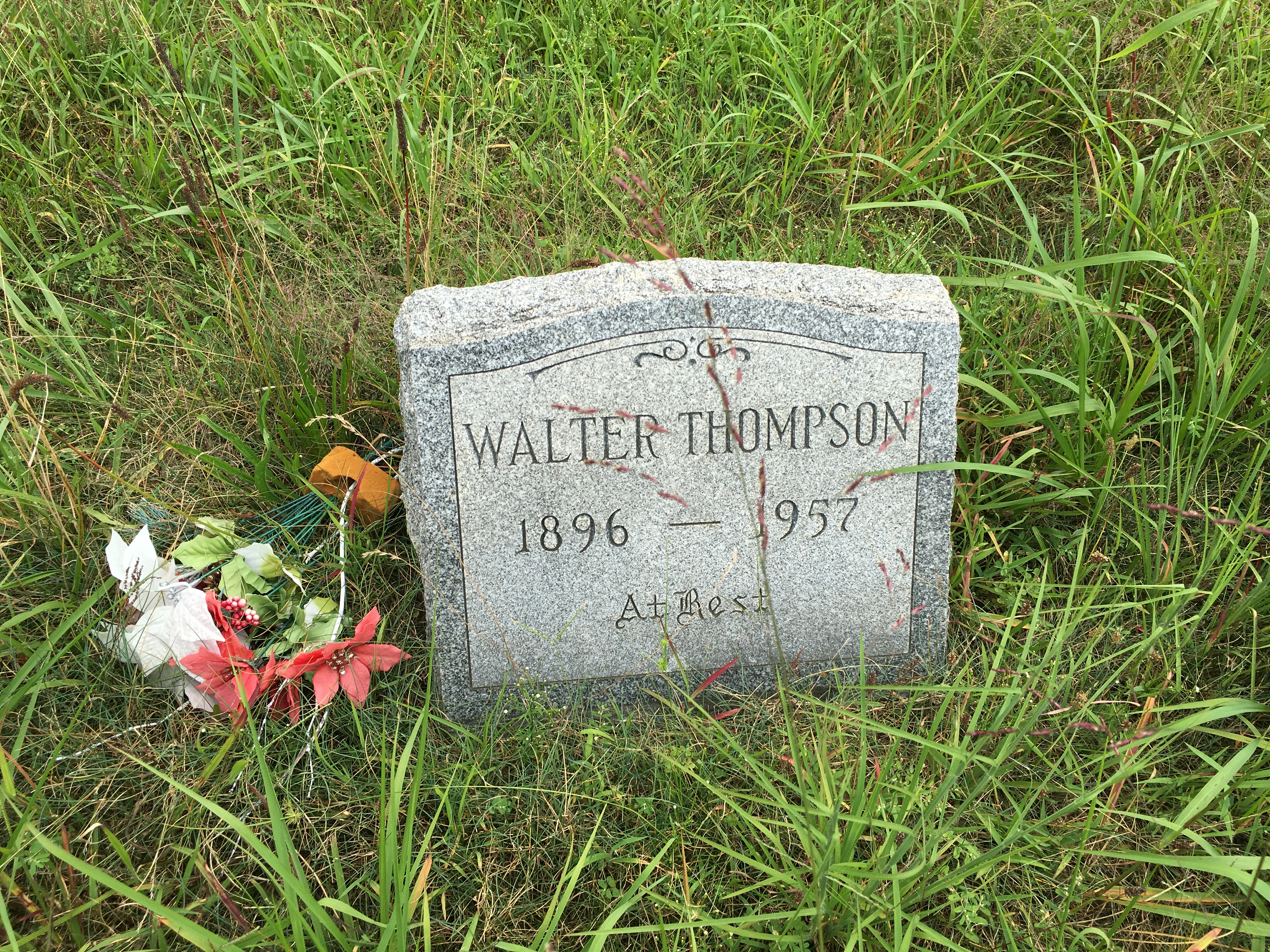 Photographed 16 Aug 2016
JMF