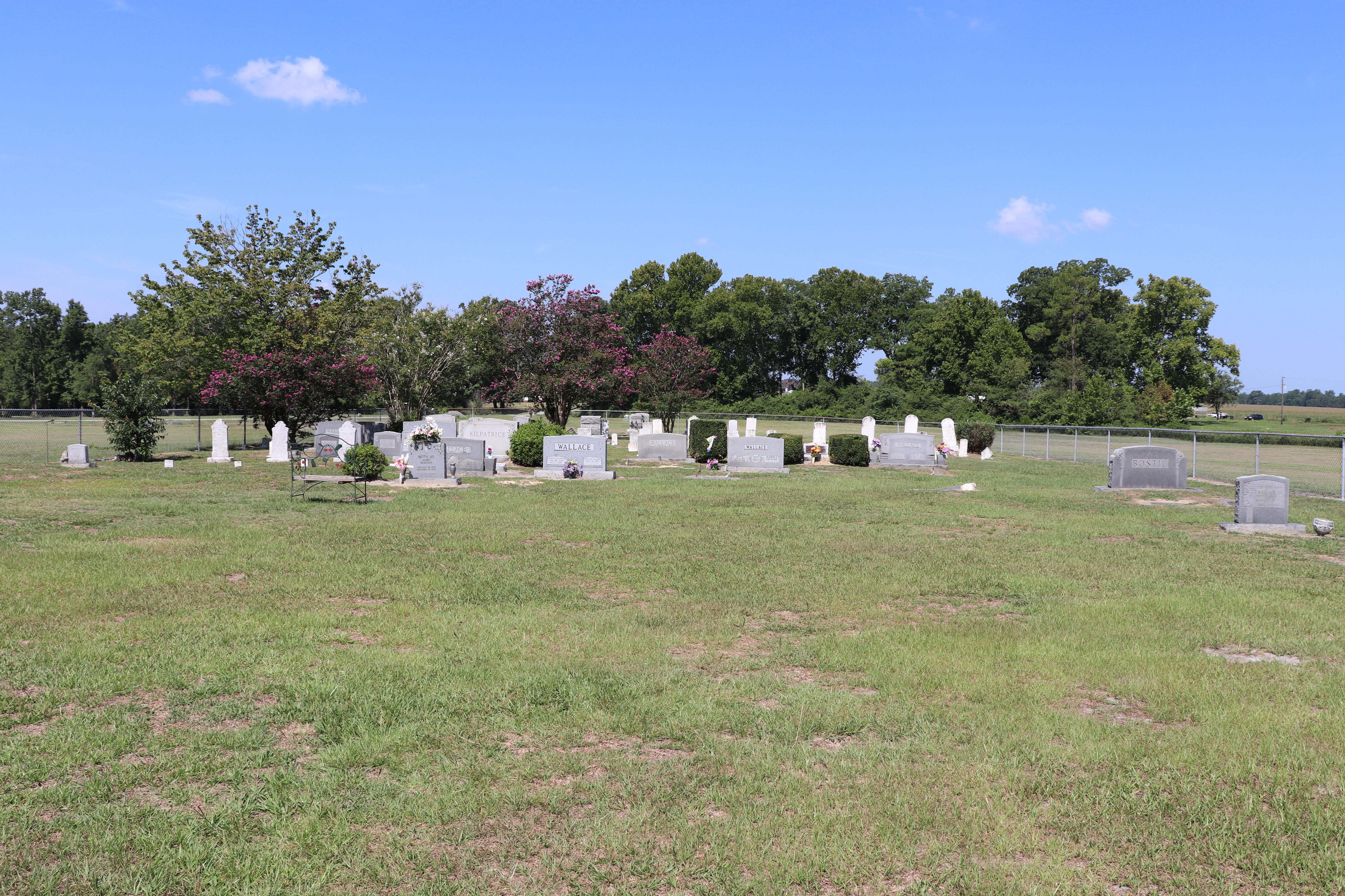 Photographed 28 July 2019.