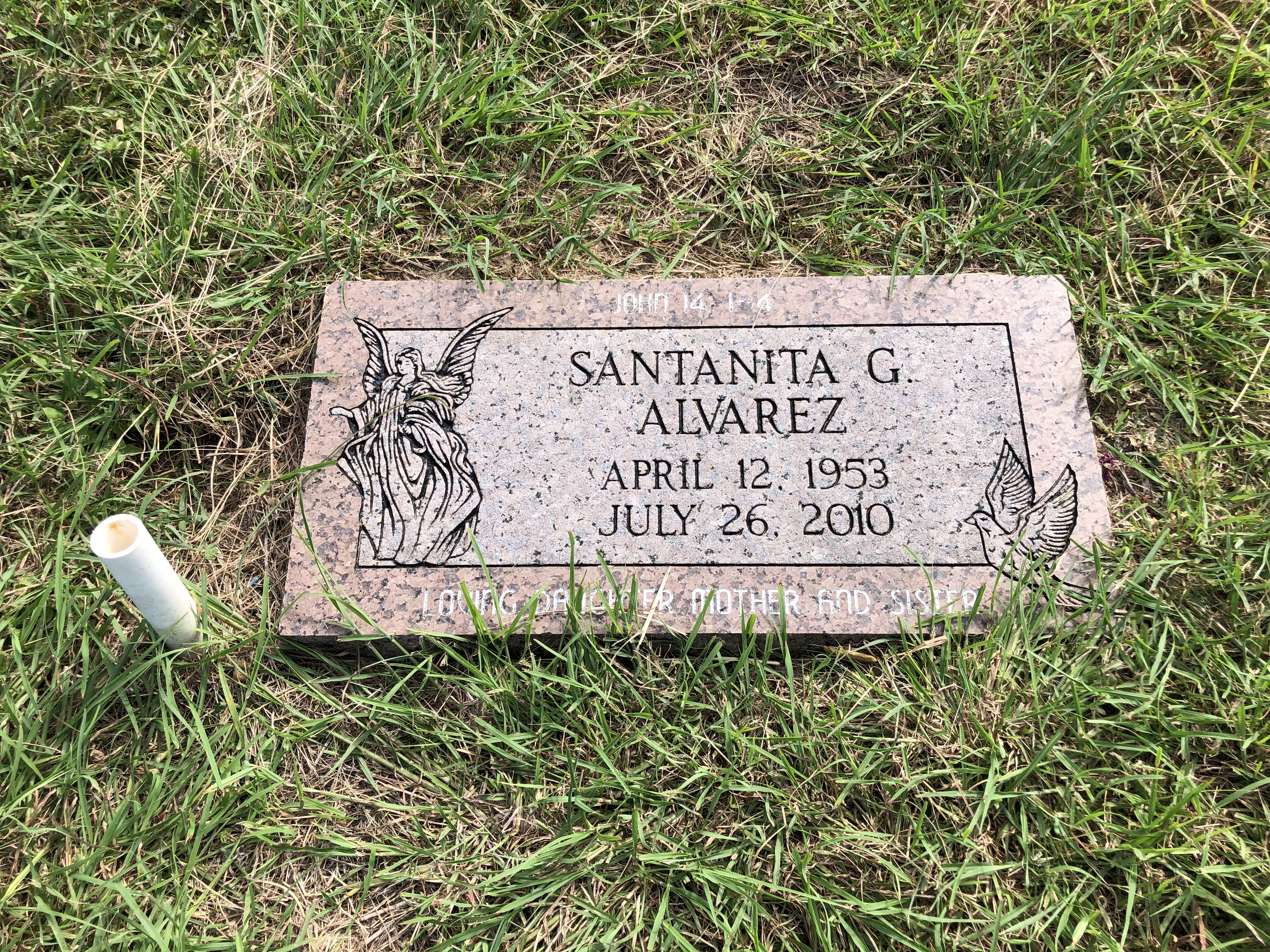 Photographed 01 July 2020.