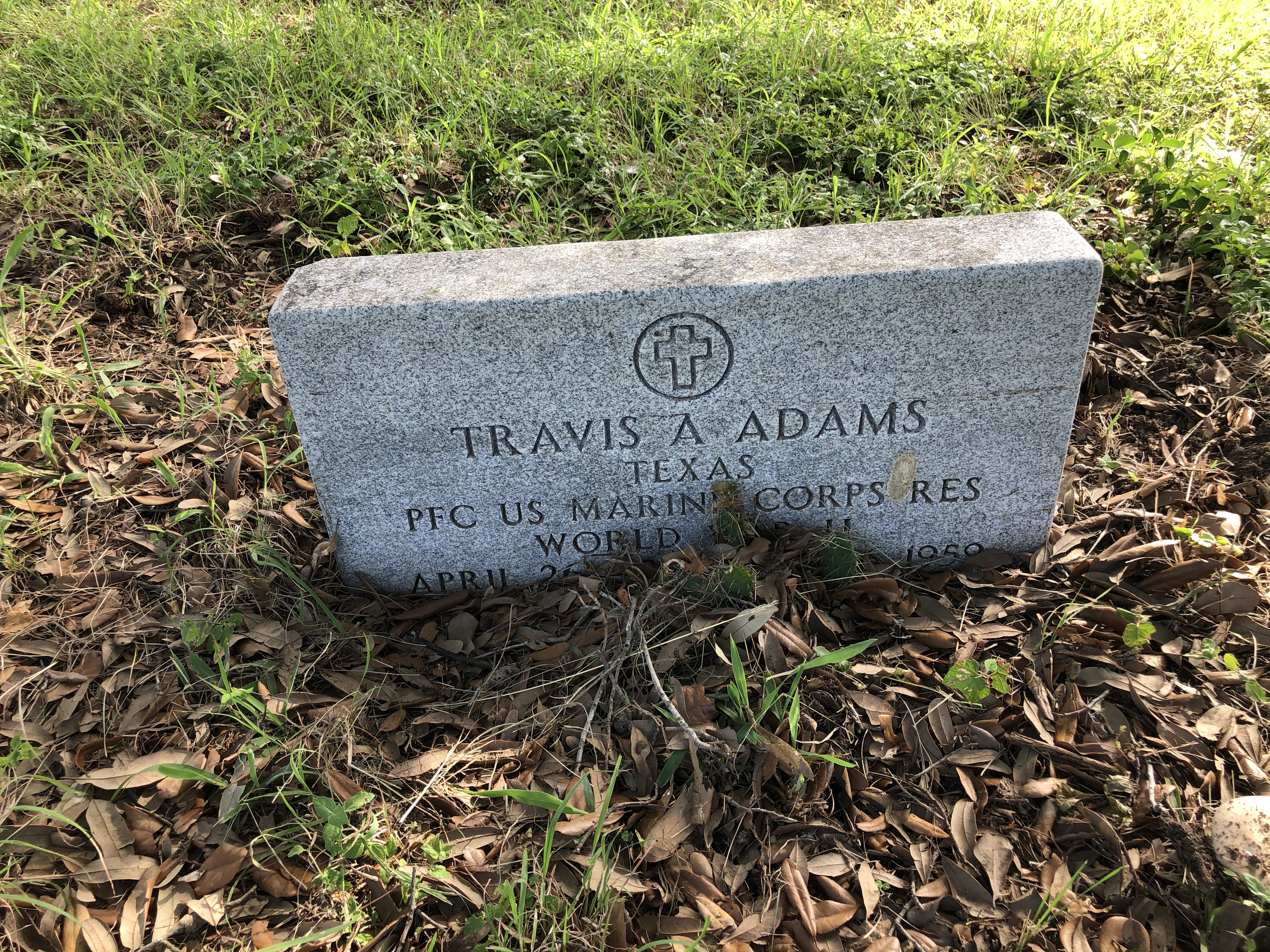 Photographed 01 July 2020.