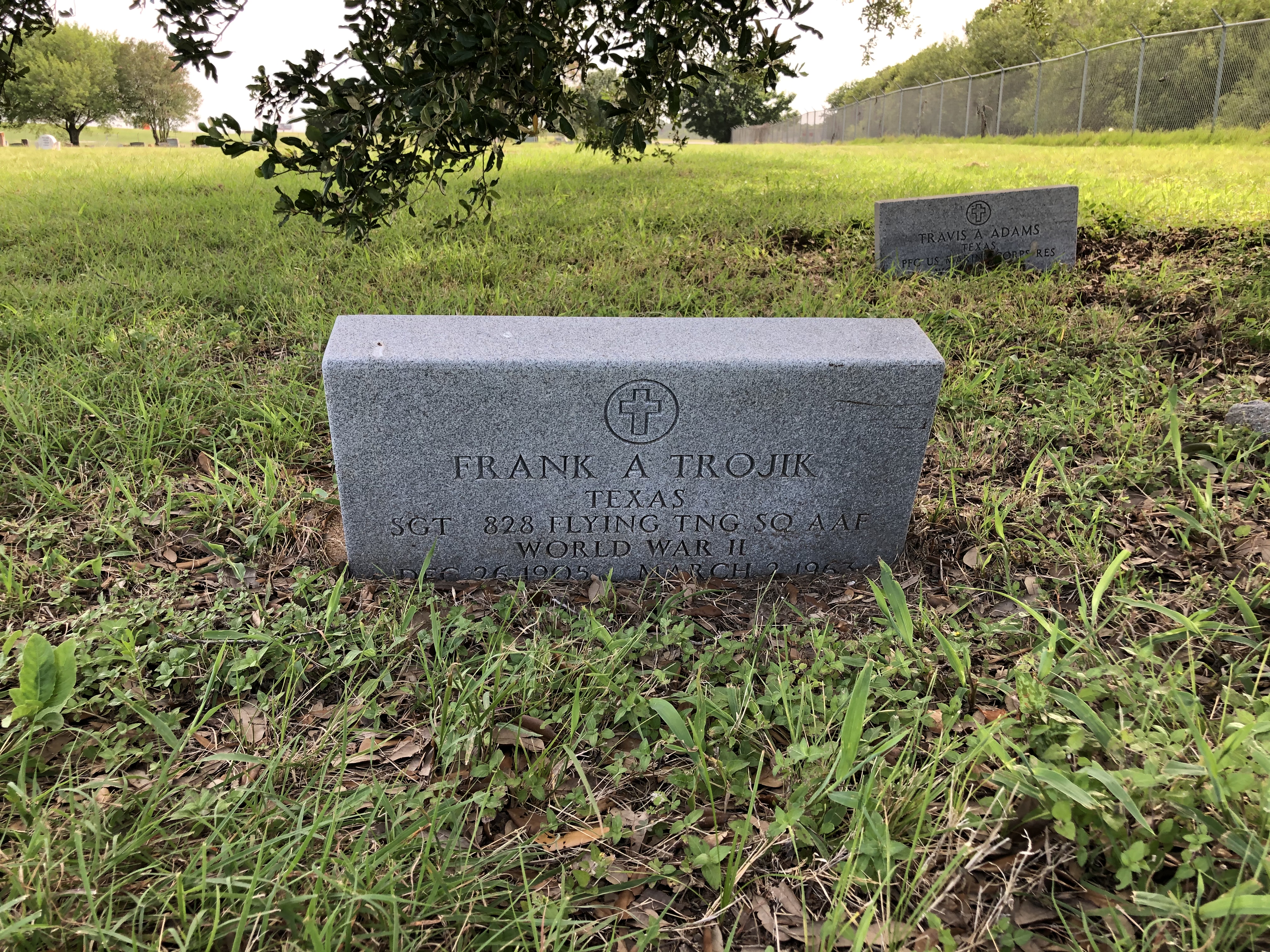 Photographed 01 July 2020.