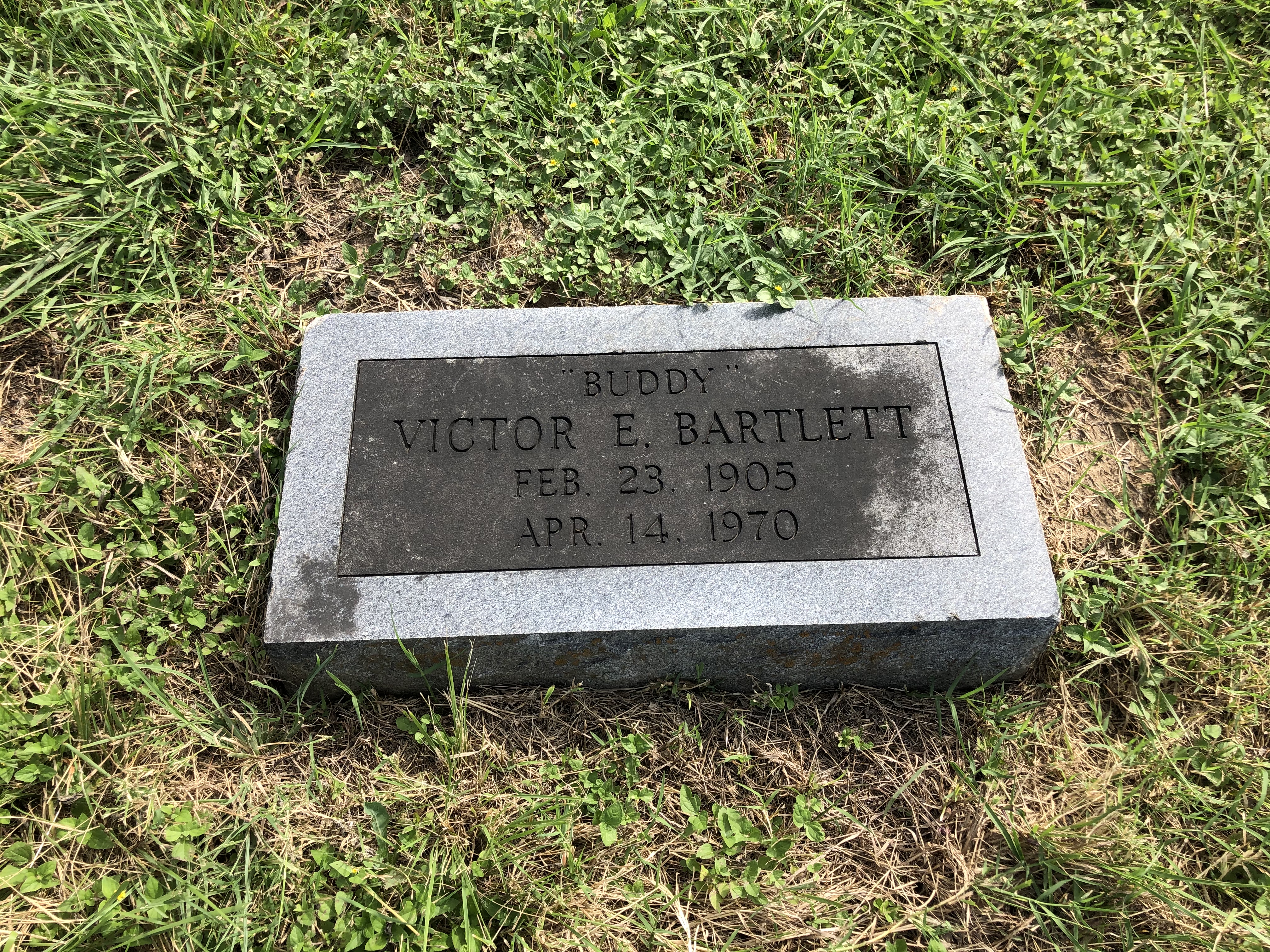 Photographed 01 July 2020.