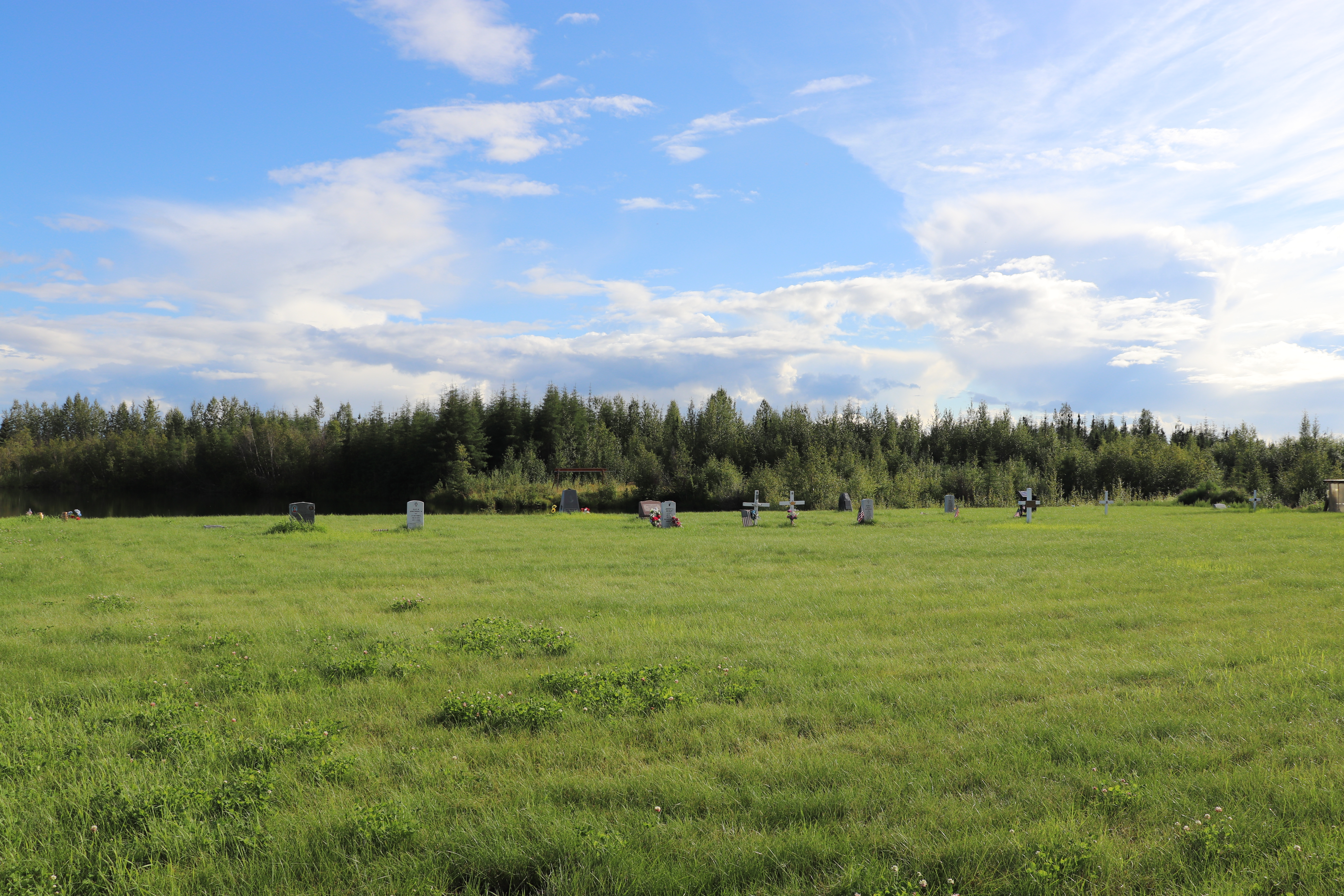 Photographed 27 July 2020.