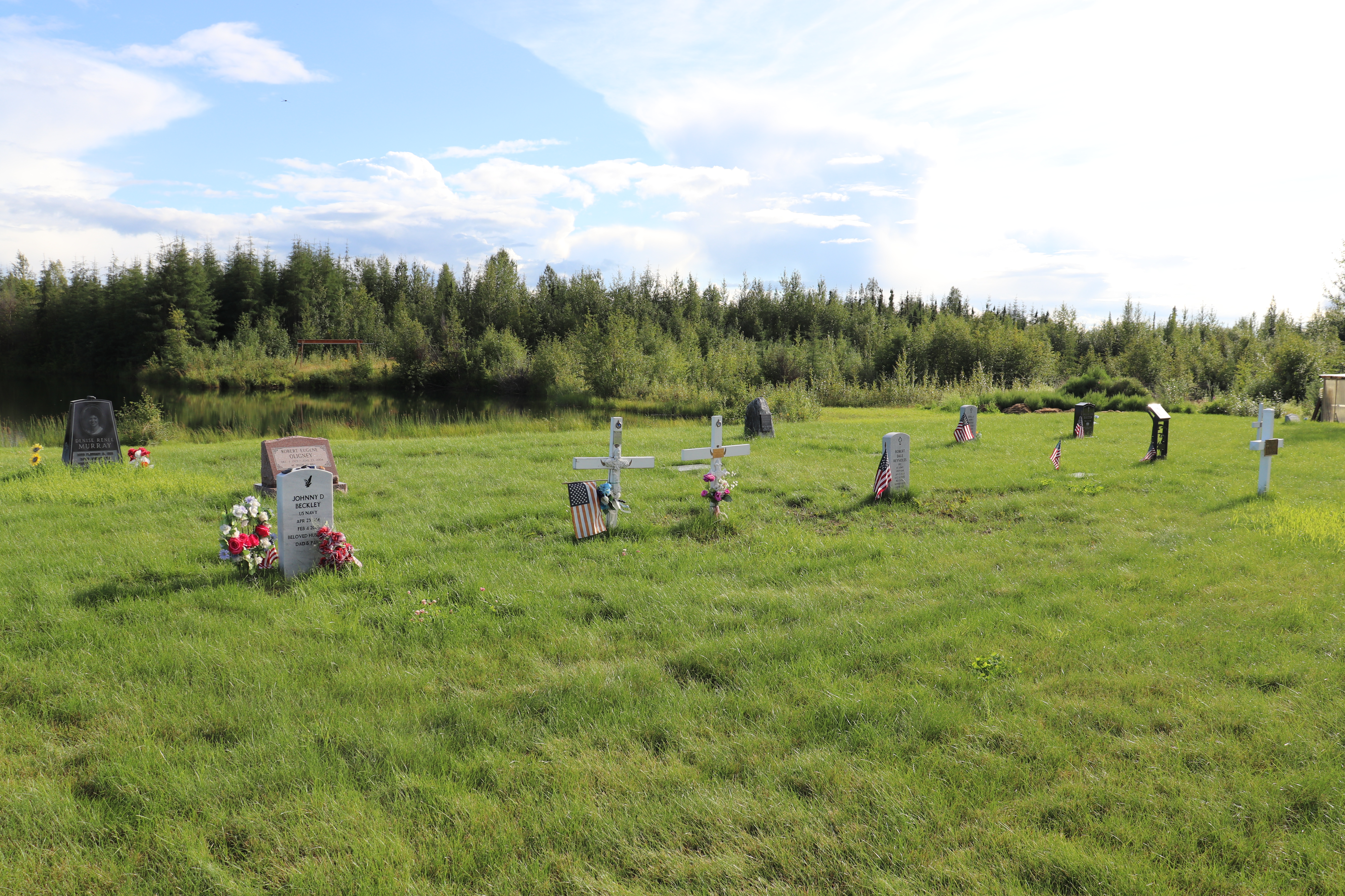 Photographed 27 July 2020.