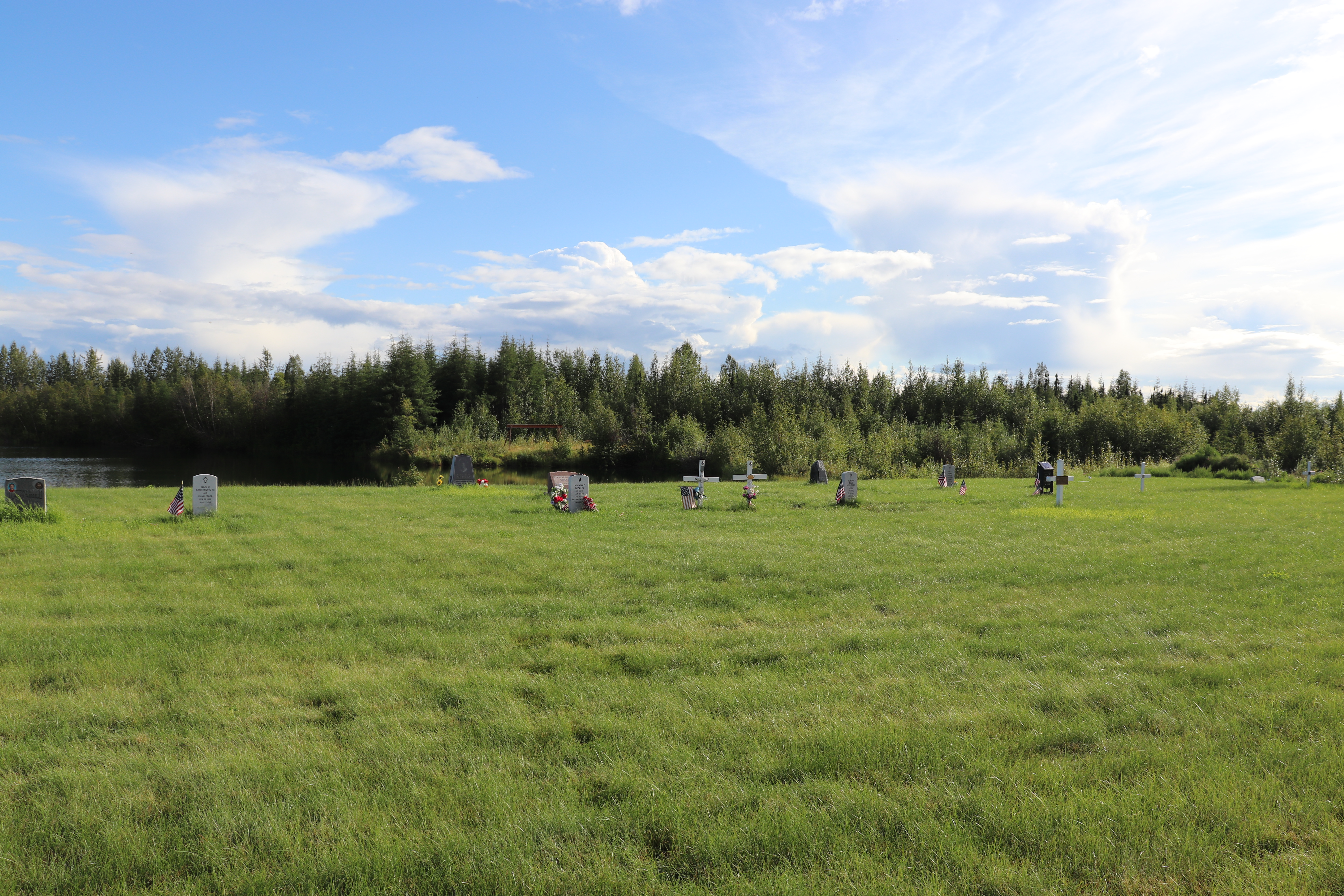 Photographed 27 July 2020.