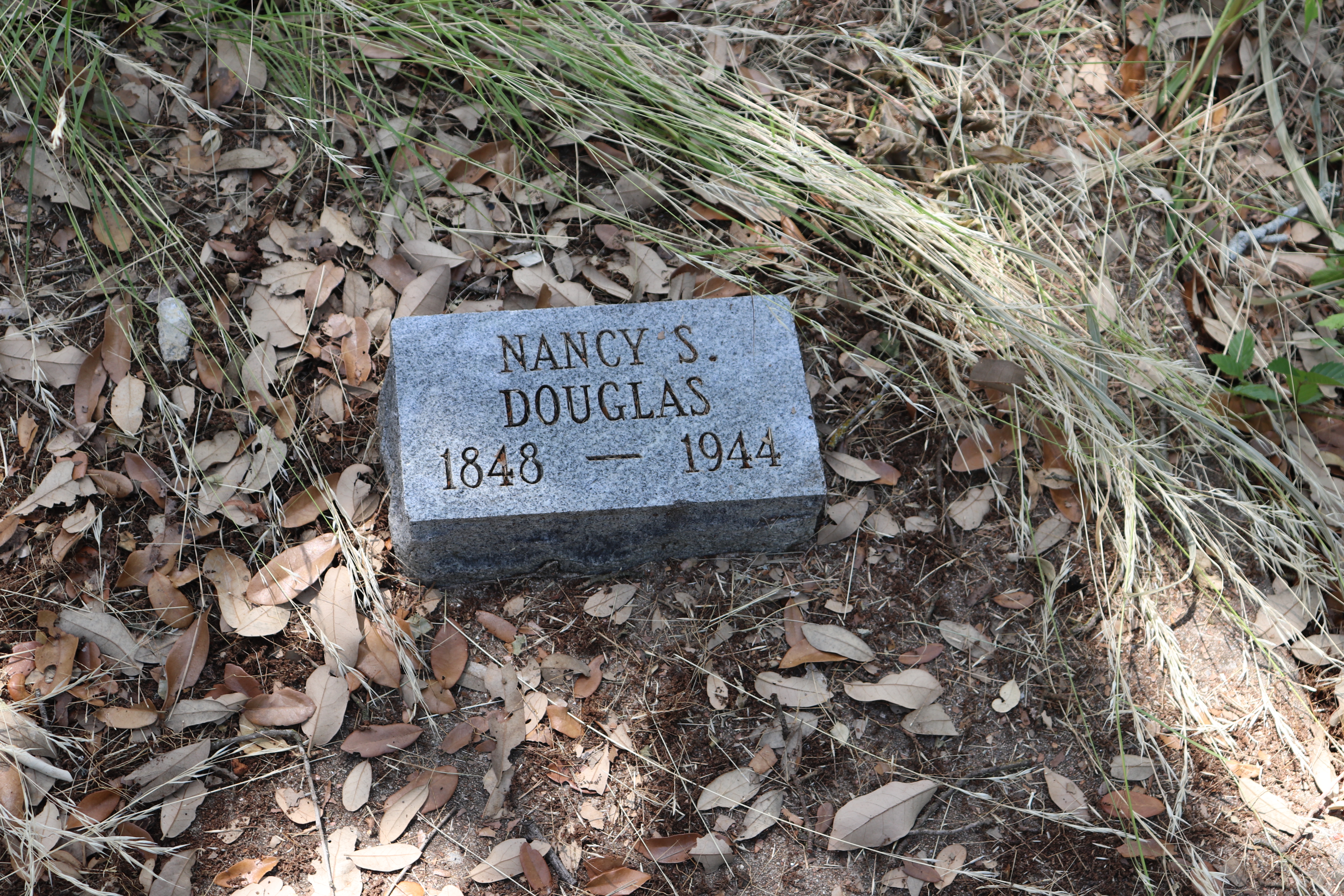 Photographed 22 May 2020.