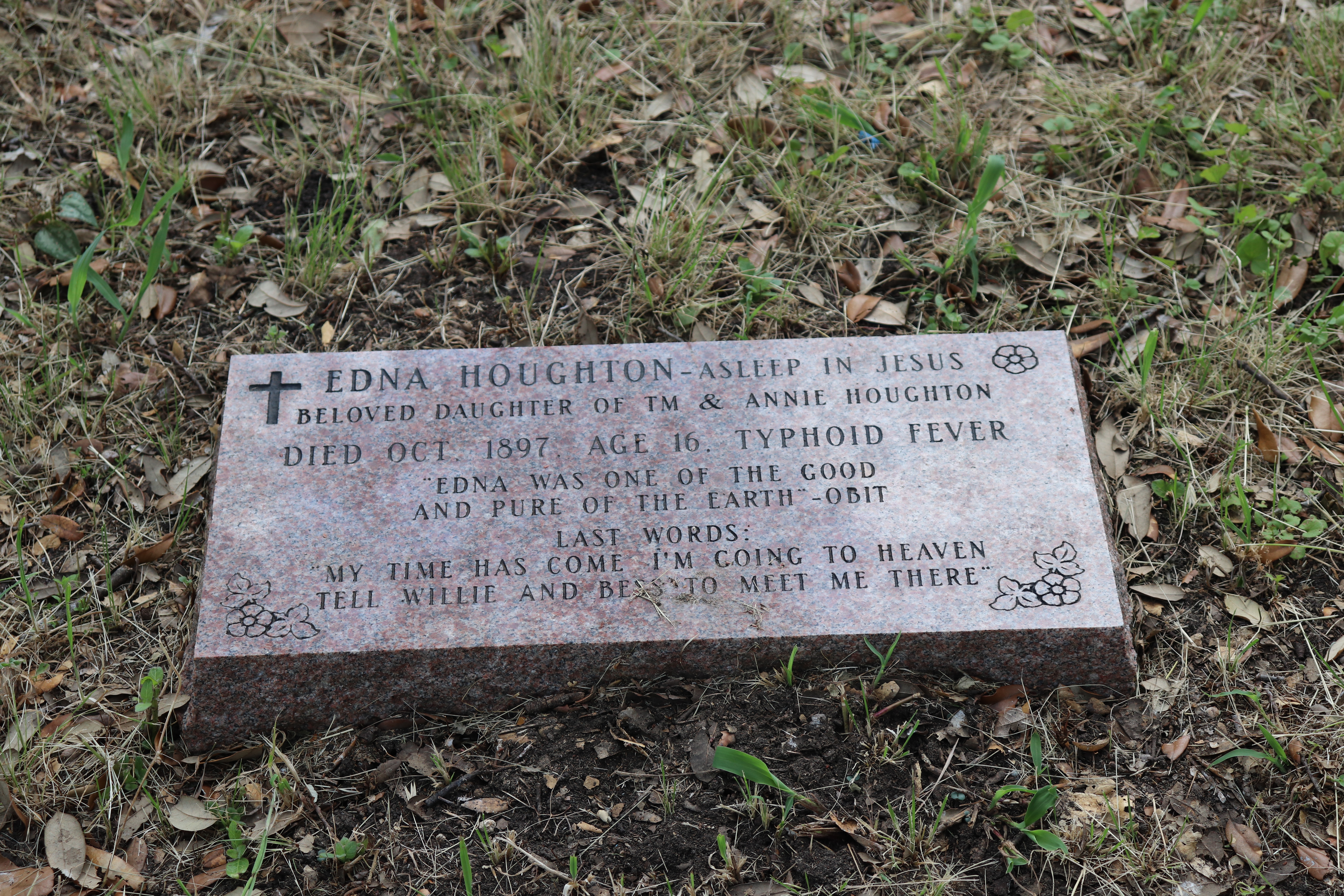 Photographed 22 May 2020.