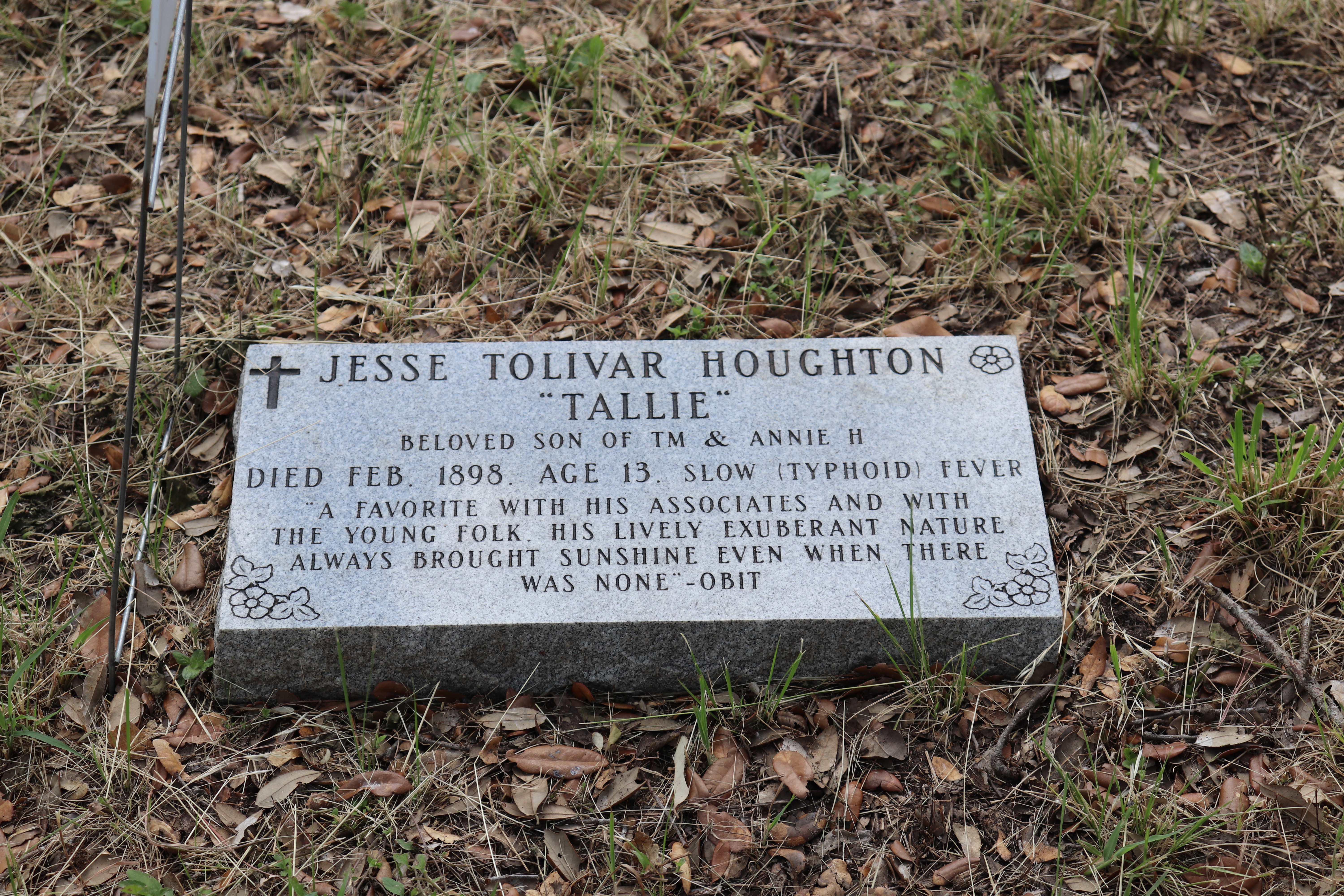 Photographed 22 May 2020.