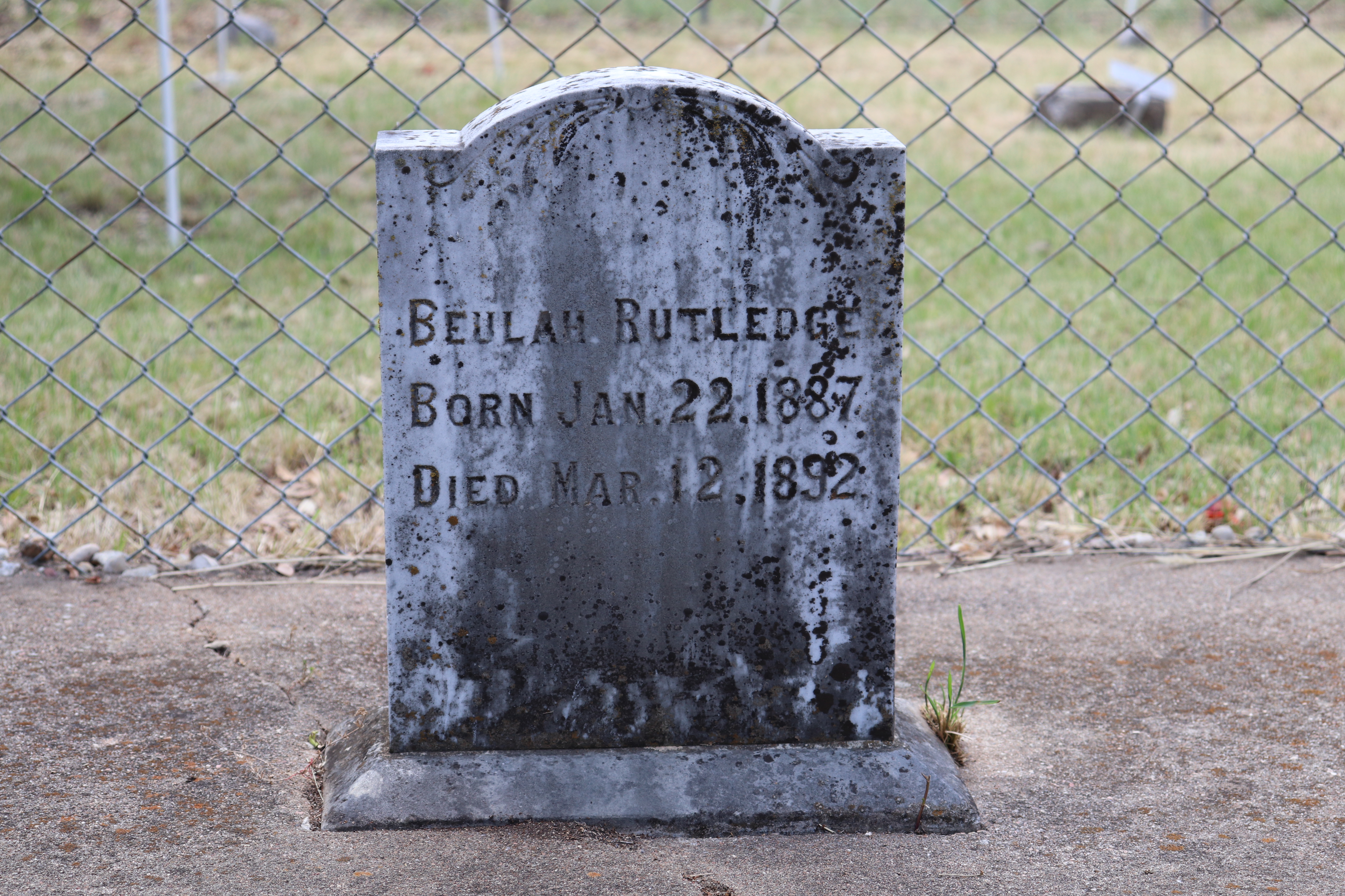 Photographed 22 May 2020.