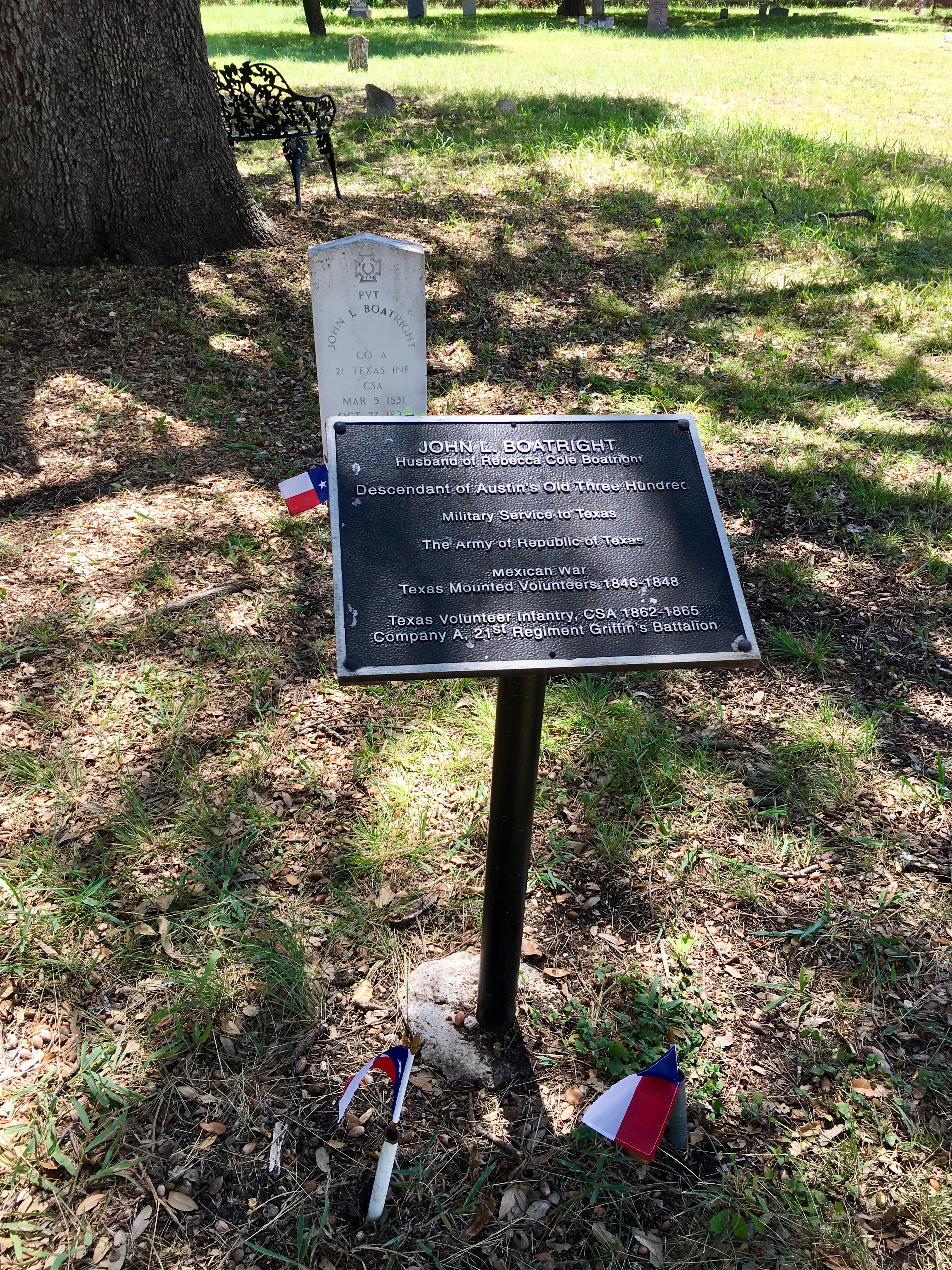 Photographed 18 July 2017.