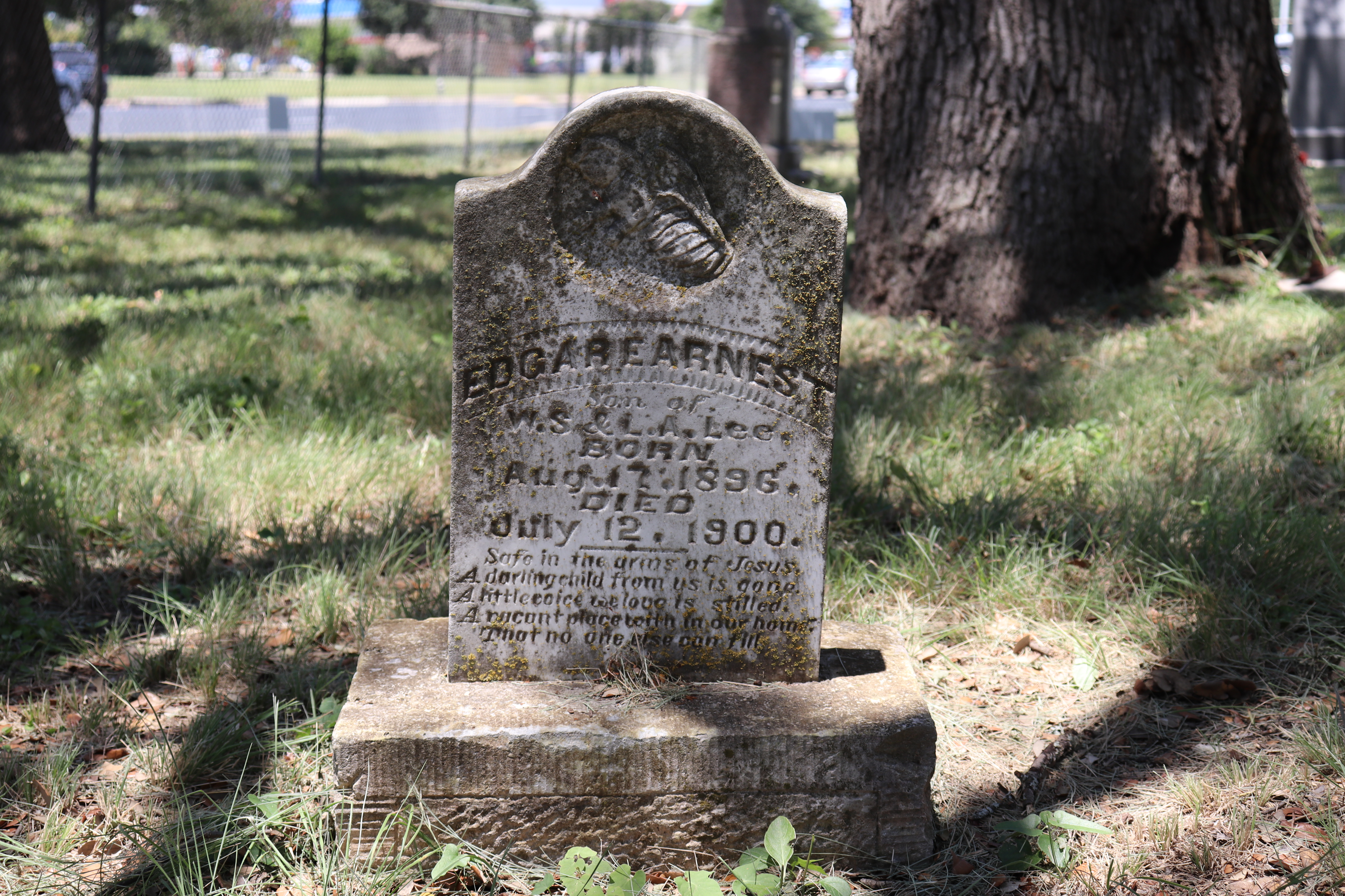 Photographed 23 July 2019.