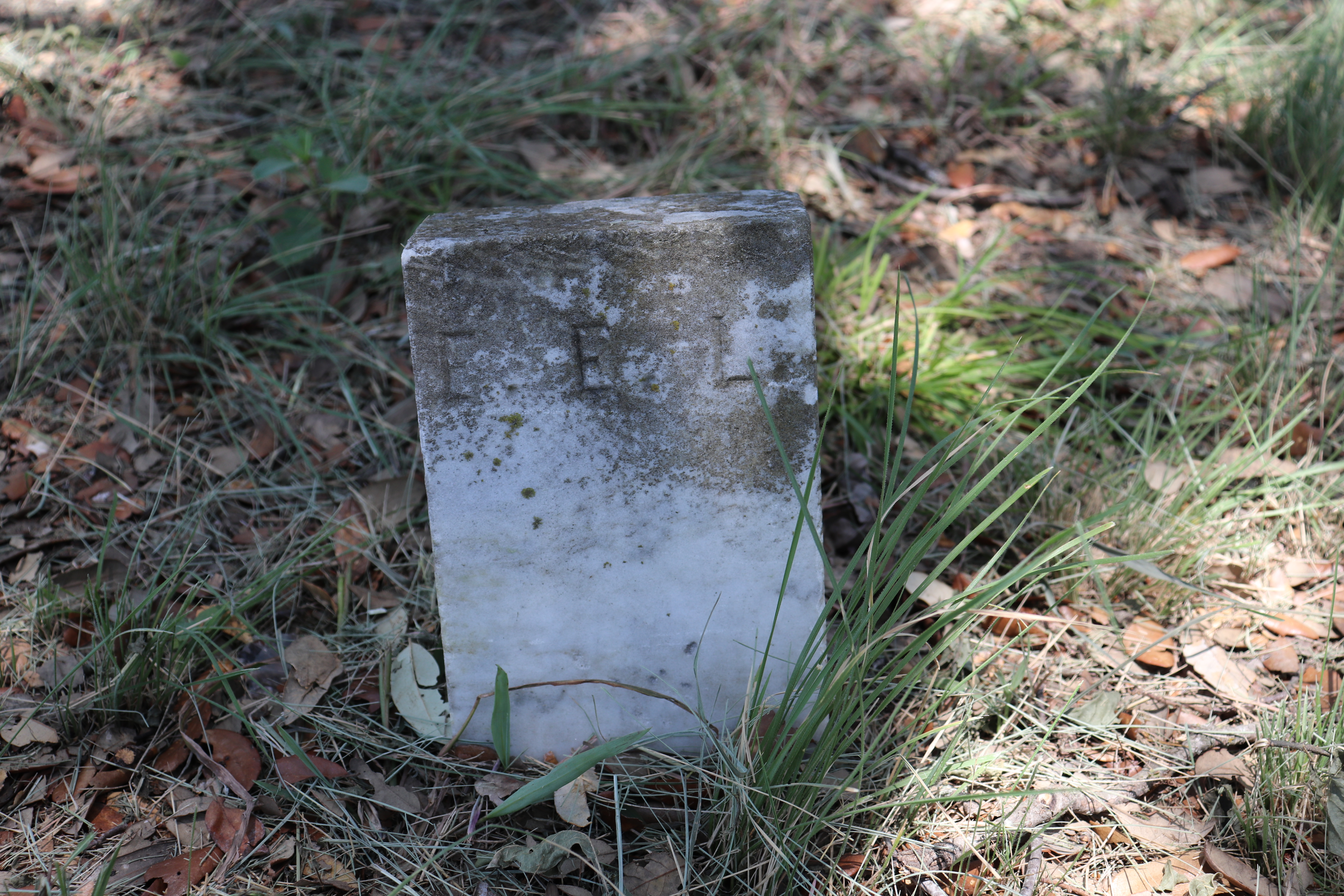 Photographed 23 July 2019.