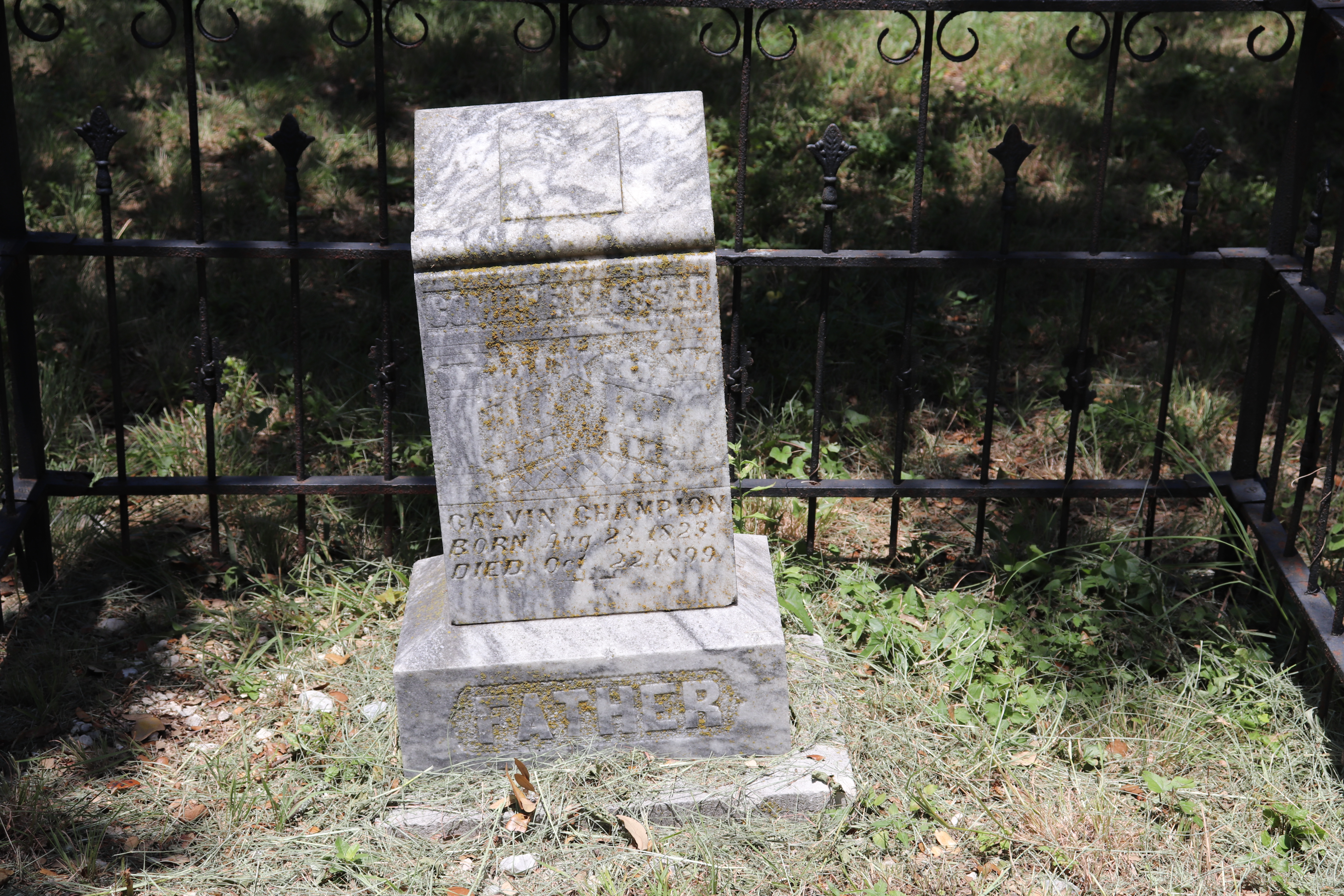 Photographed 23 July 2019.